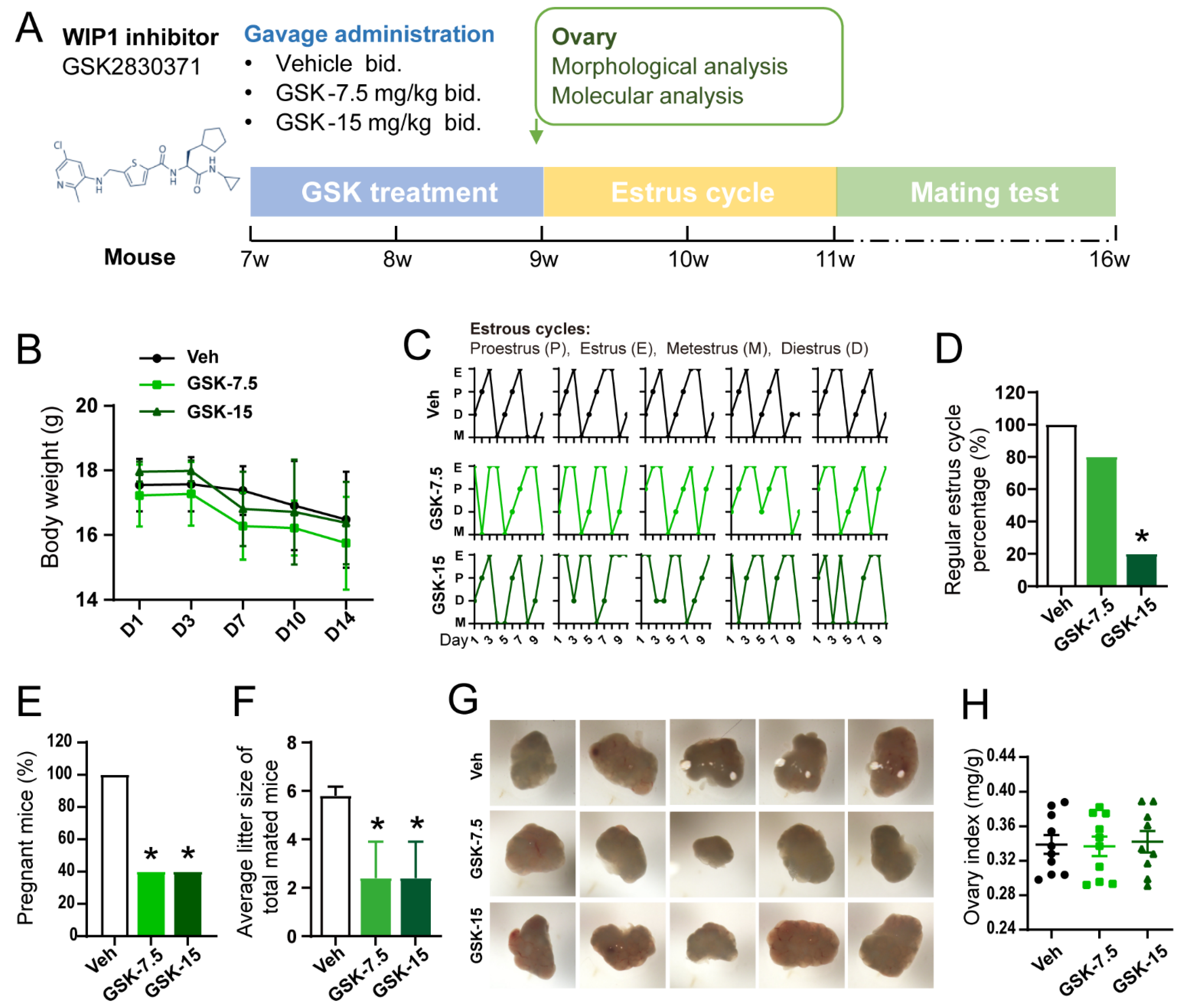 Cells 11 03920 g002 Cells 11 03920 g002