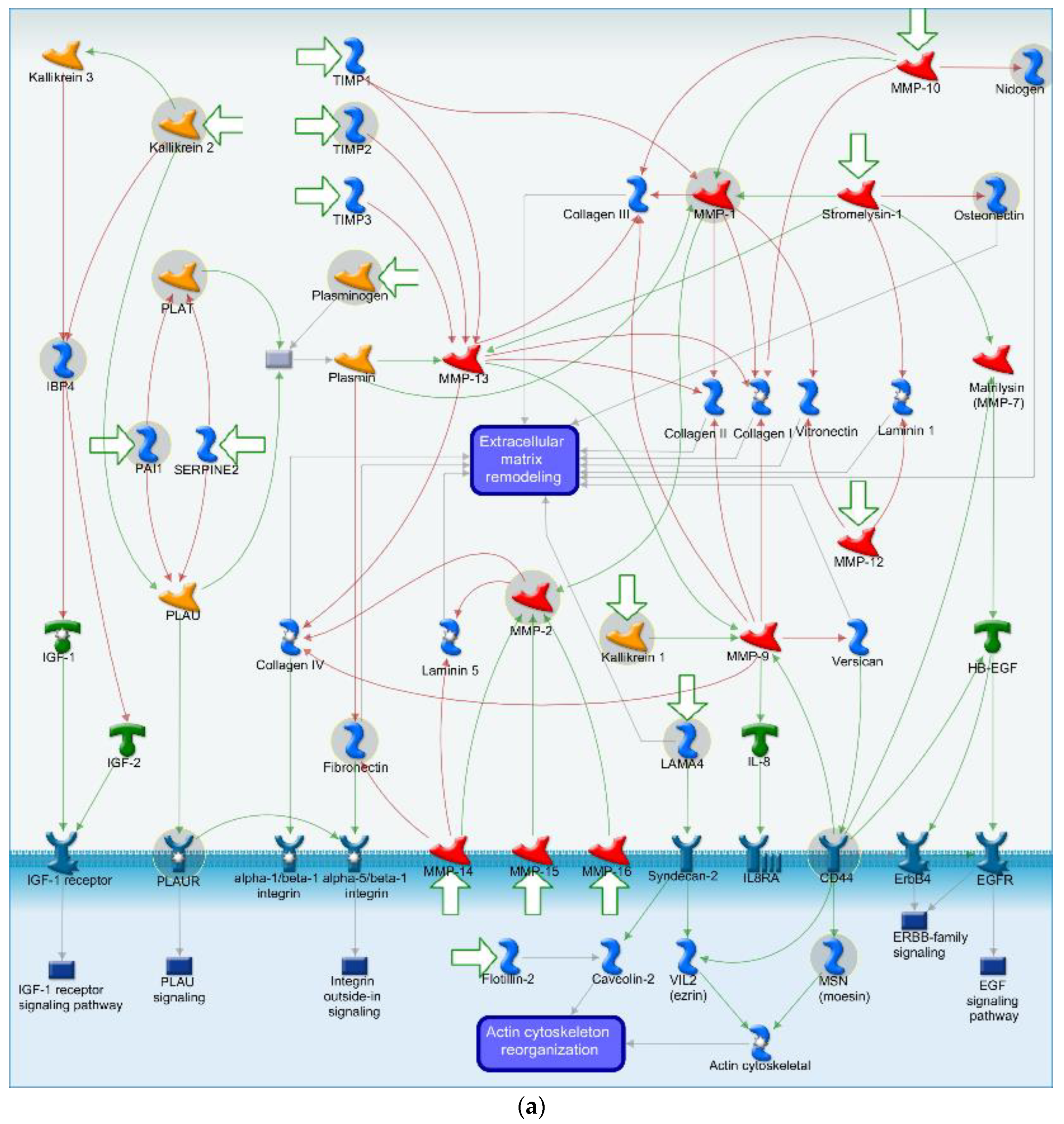 Cells 11 03926 g006a Cells 11 03926 g006a