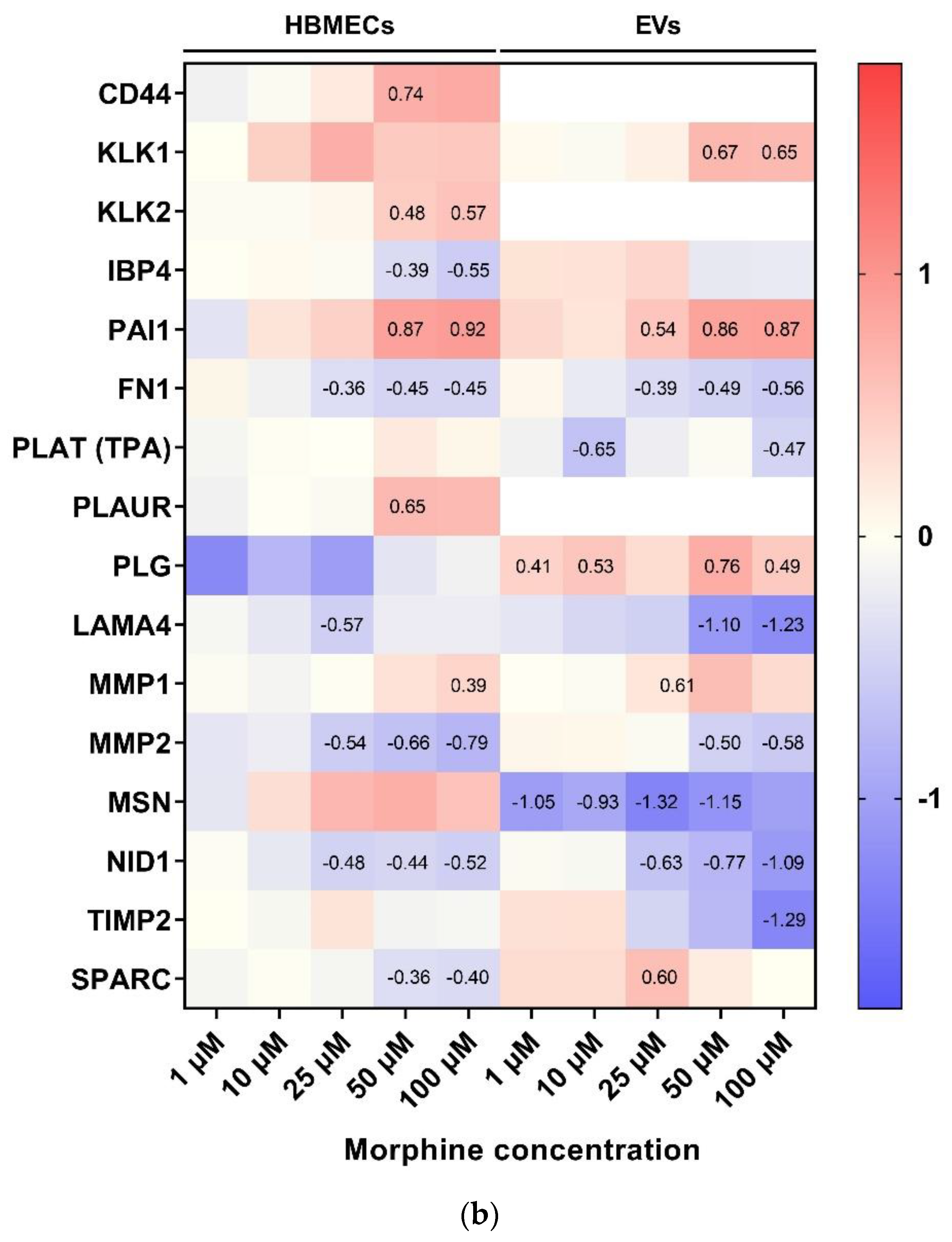 Cells 11 03926 g006b Cells 11 03926 g006b