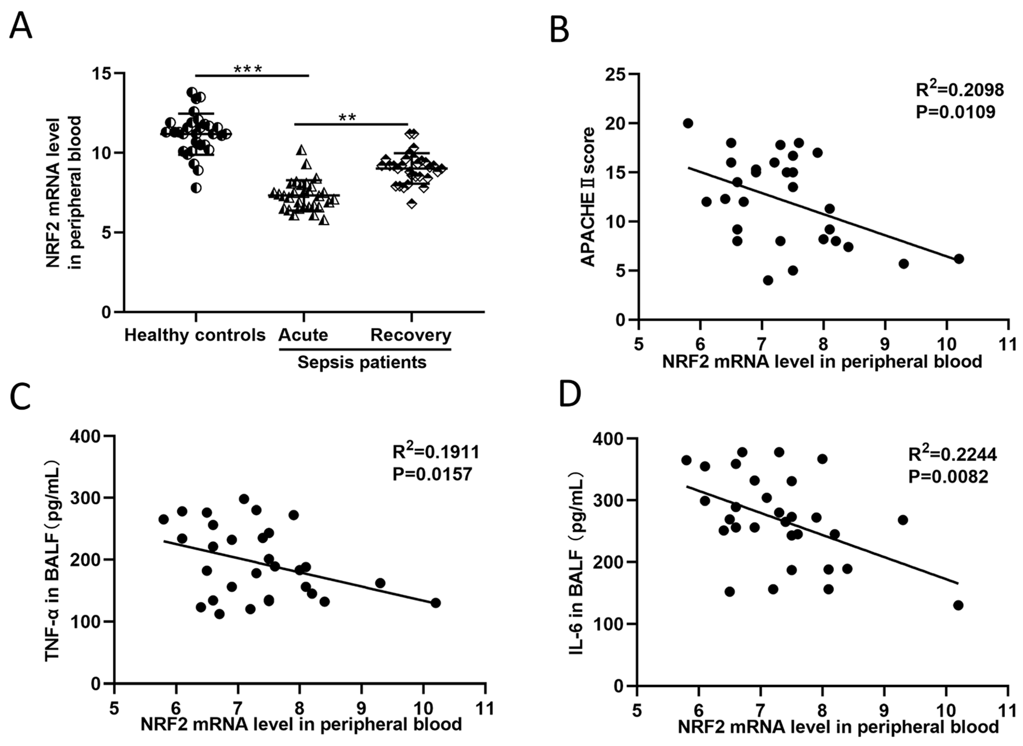 Cells 11 03927 g001 Cells 11 03927 g001