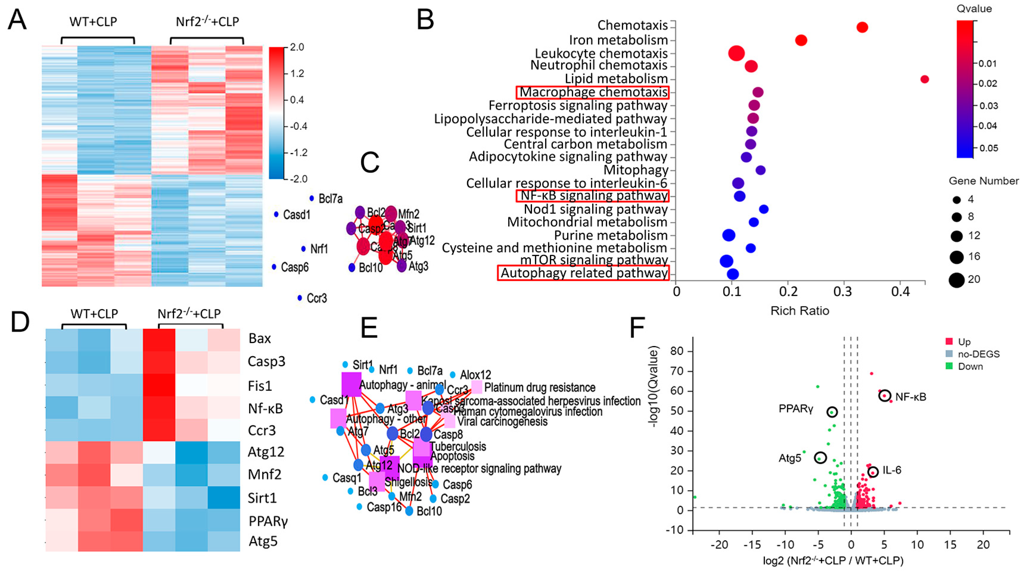 Cells 11 03927 g003 Cells 11 03927 g003