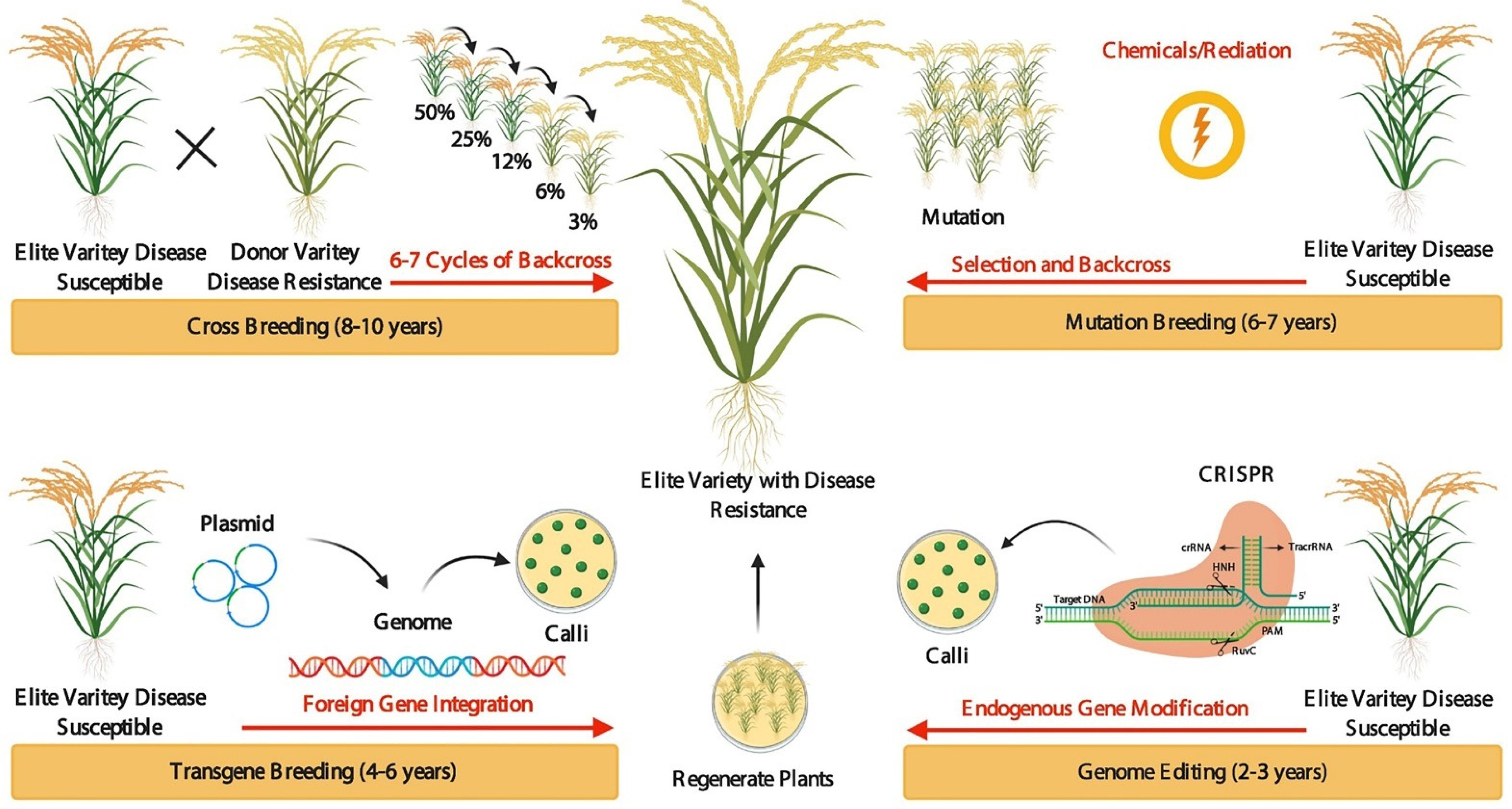 Gene editing: Playing God or repairing a 'natural system' that has gone  haywire? - Genetic Literacy Project