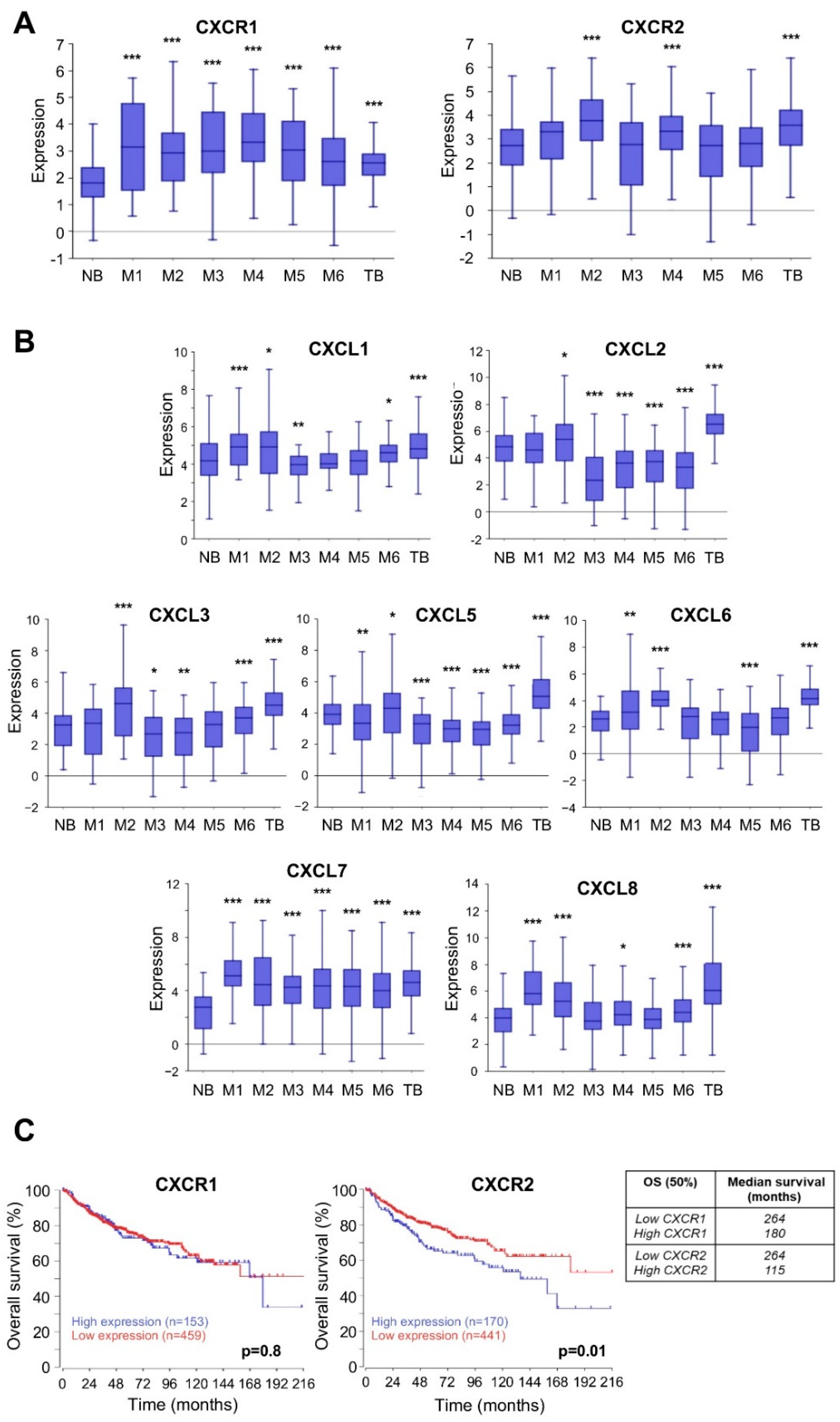Cells 11 03933 g001 Cells 11 03933 g001