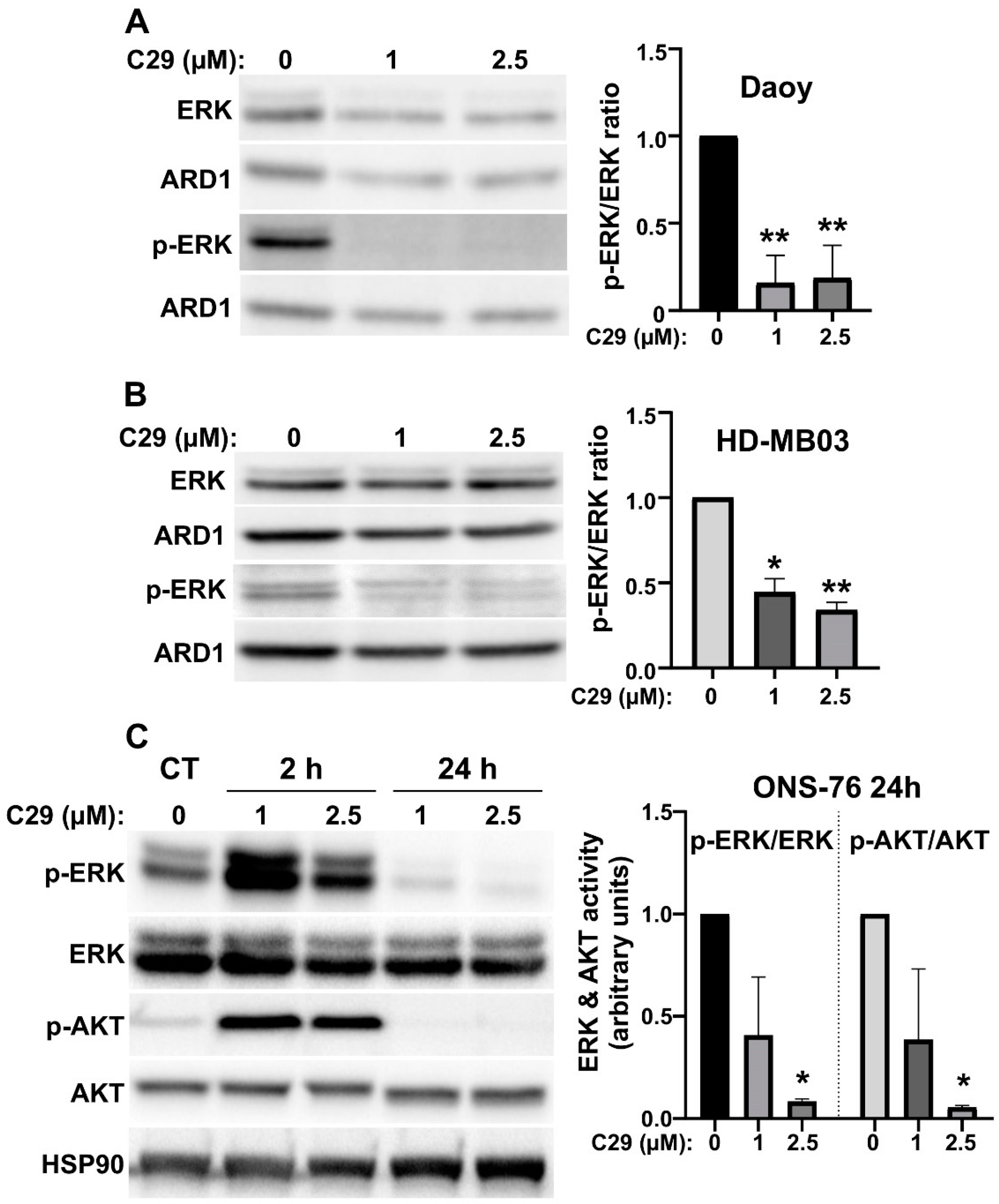 Cells 11 03933 g005 Cells 11 03933 g005