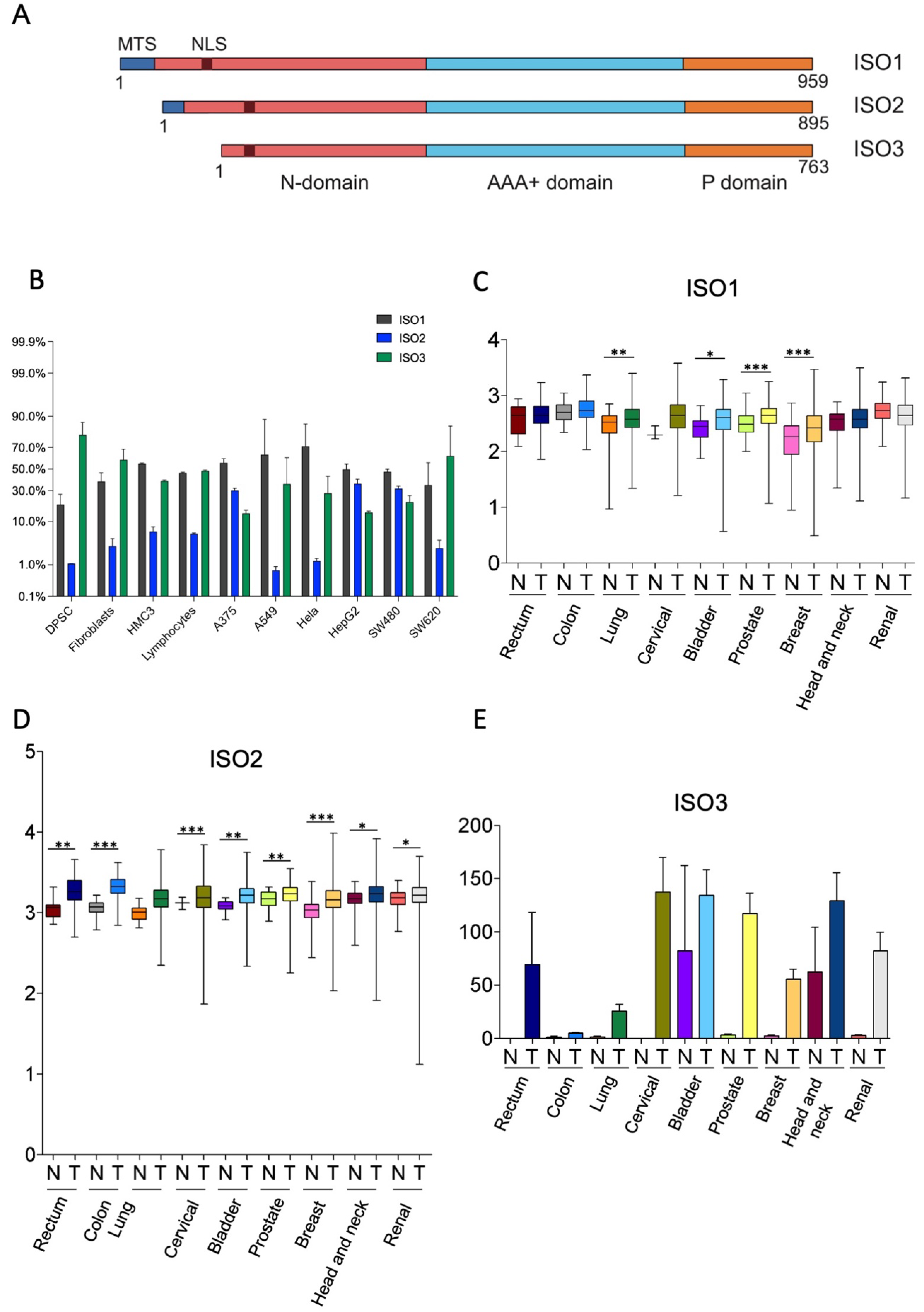 Cells 11 03940 g001 Cells 11 03940 g001