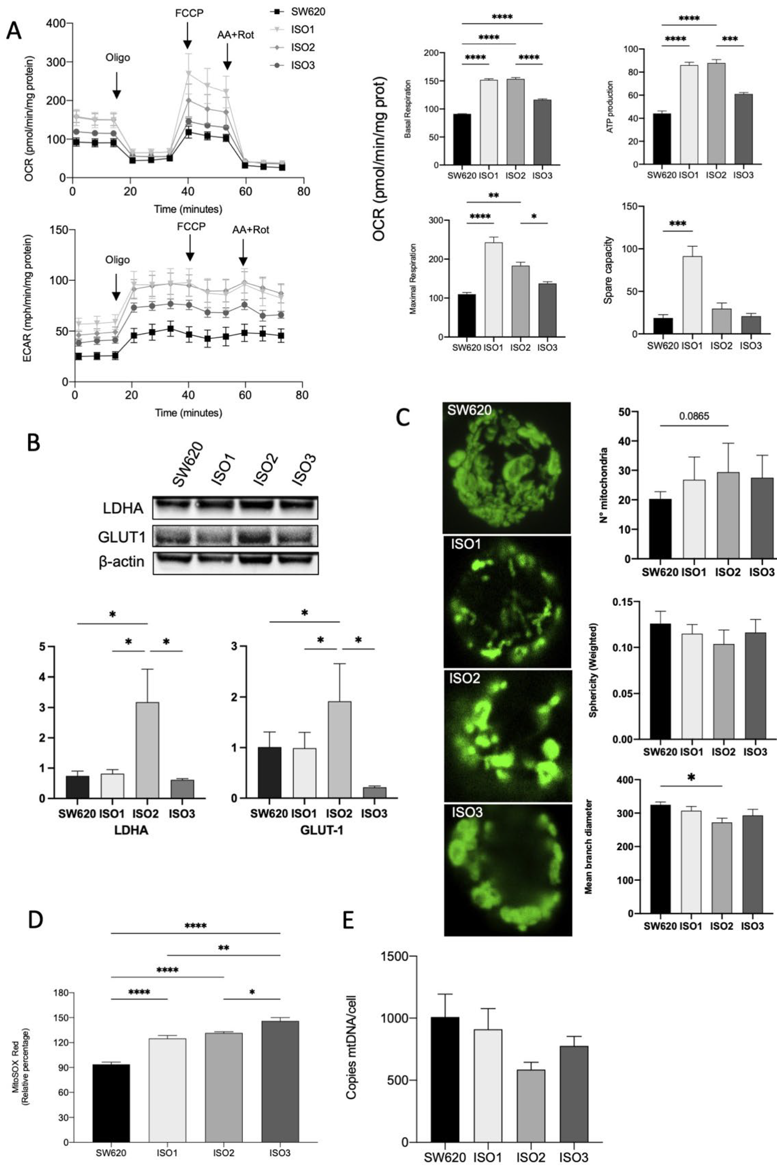 Cells 11 03940 g003 Cells 11 03940 g003