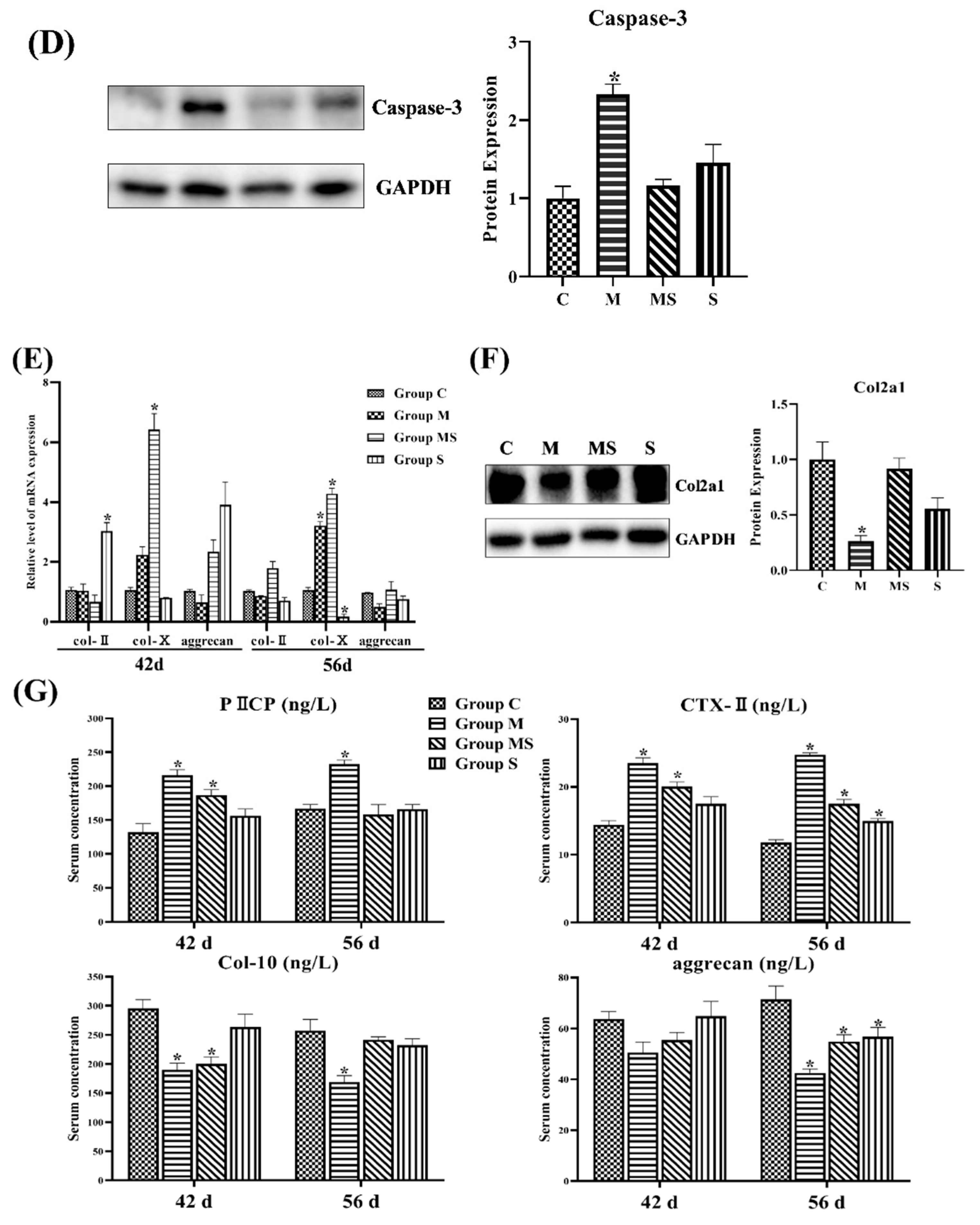Cells 11 03945 g001b Cells 11 03945 g001b