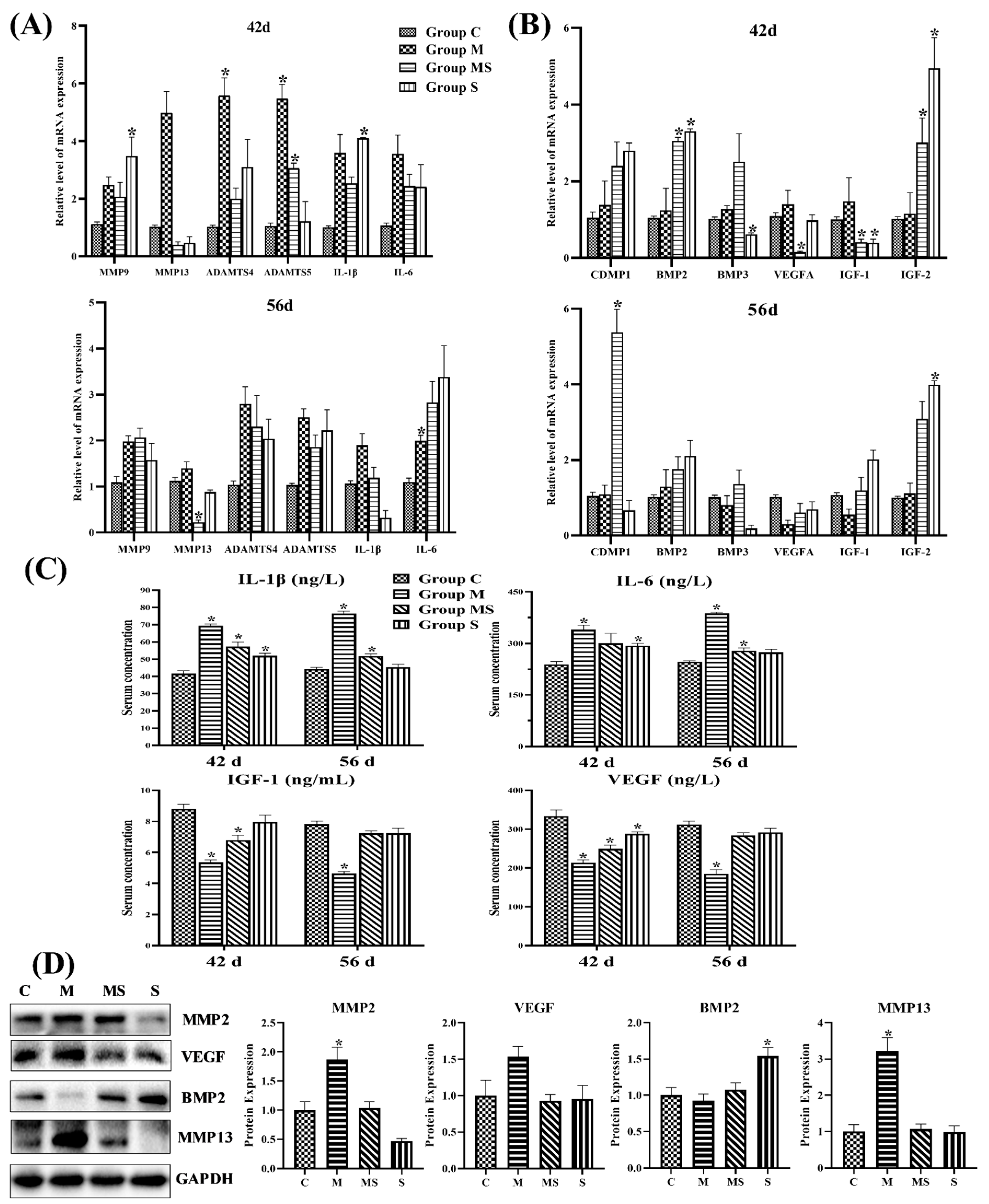 Cells 11 03945 g004a Cells 11 03945 g004a