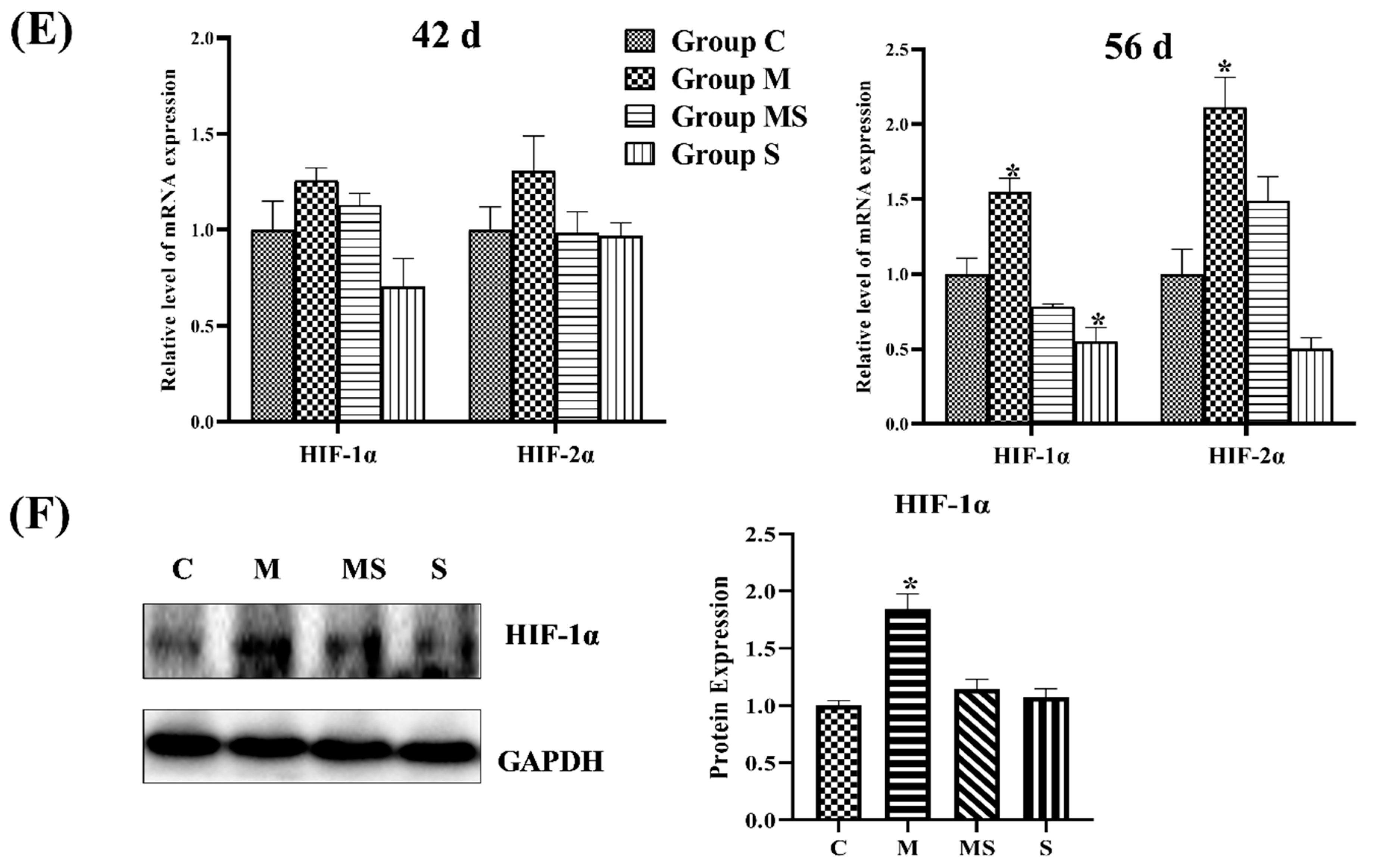 Cells 11 03945 g004b Cells 11 03945 g004b