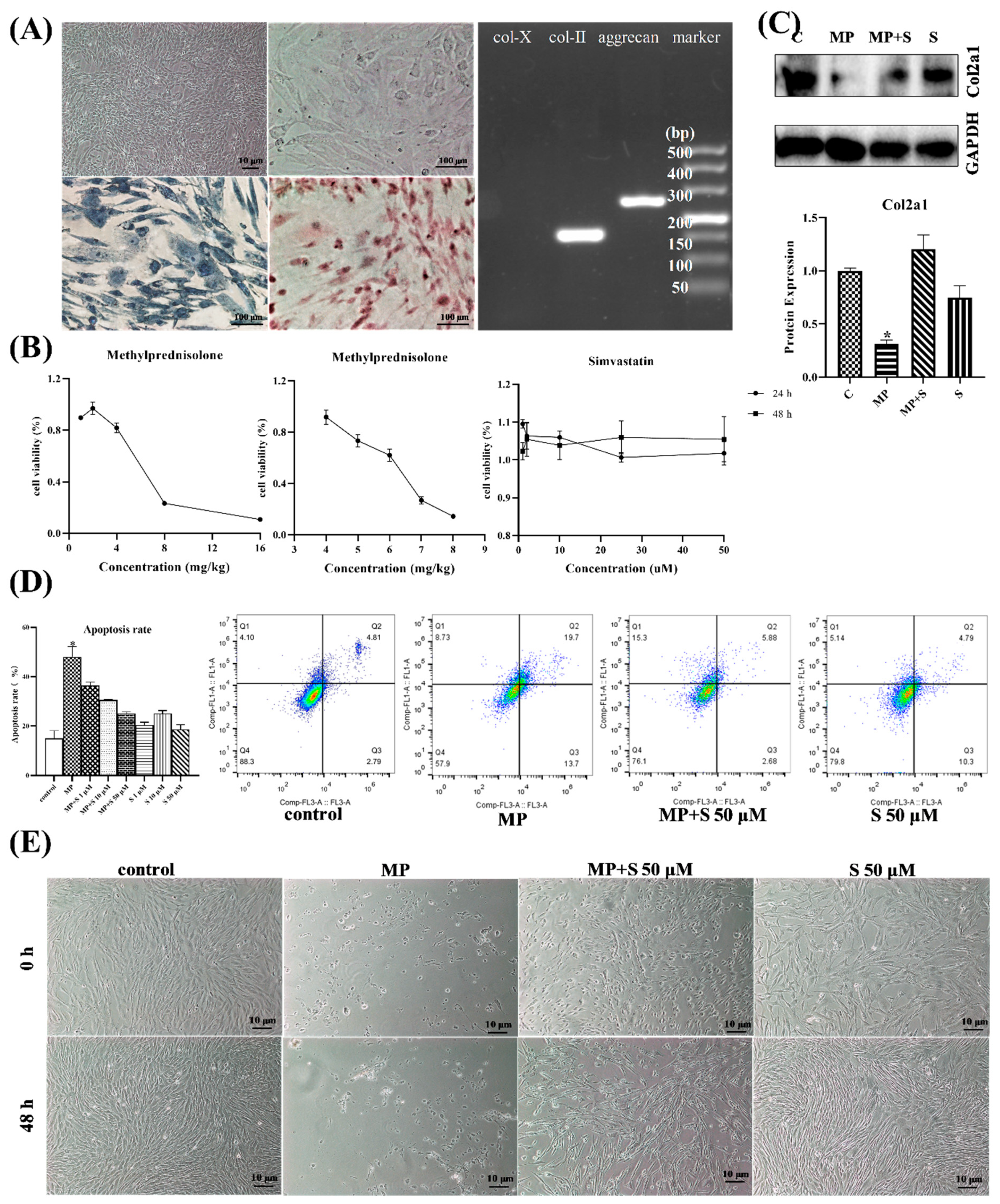 Cells 11 03945 g005 Cells 11 03945 g005