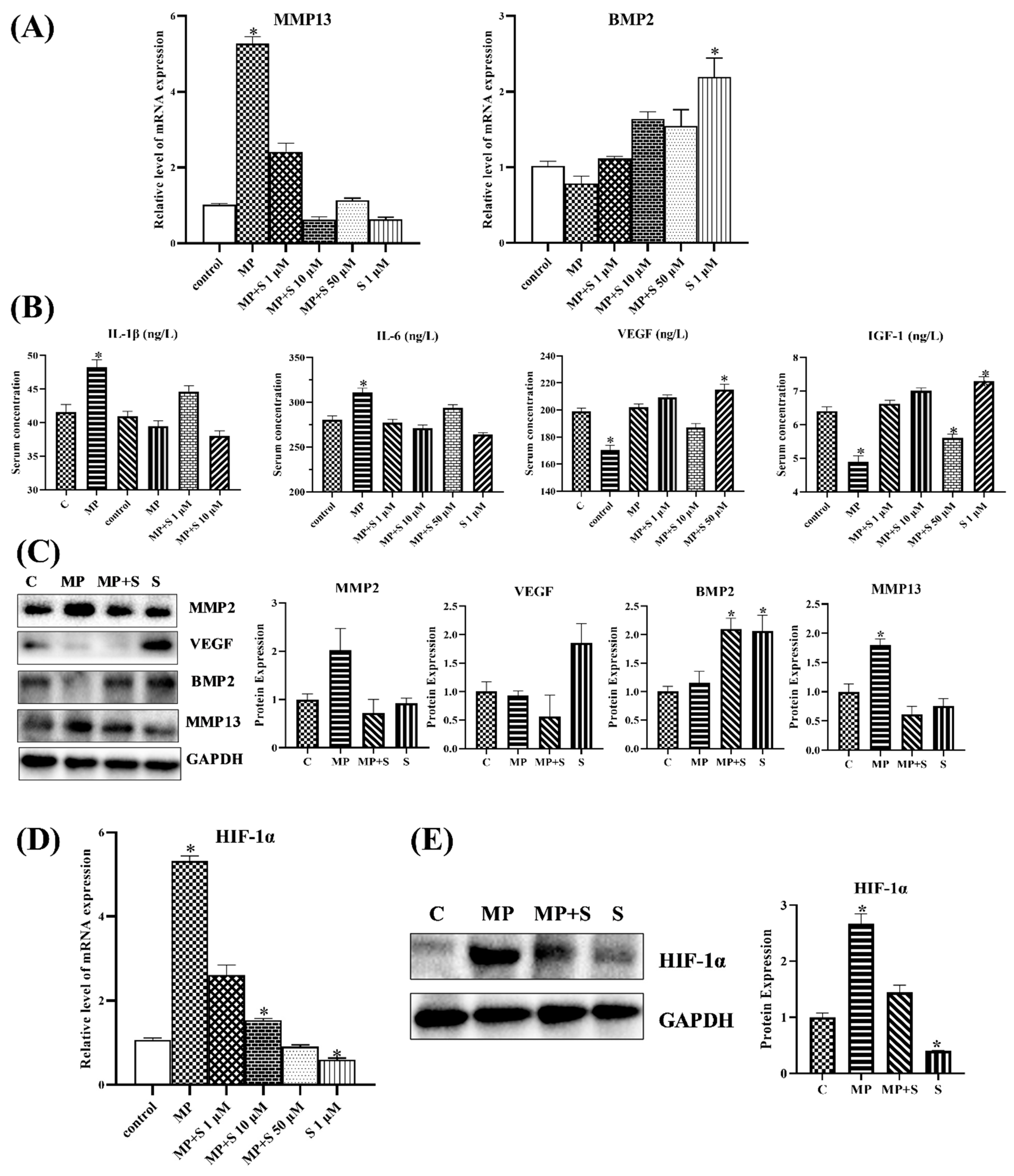 Cells 11 03945 g006 Cells 11 03945 g006
