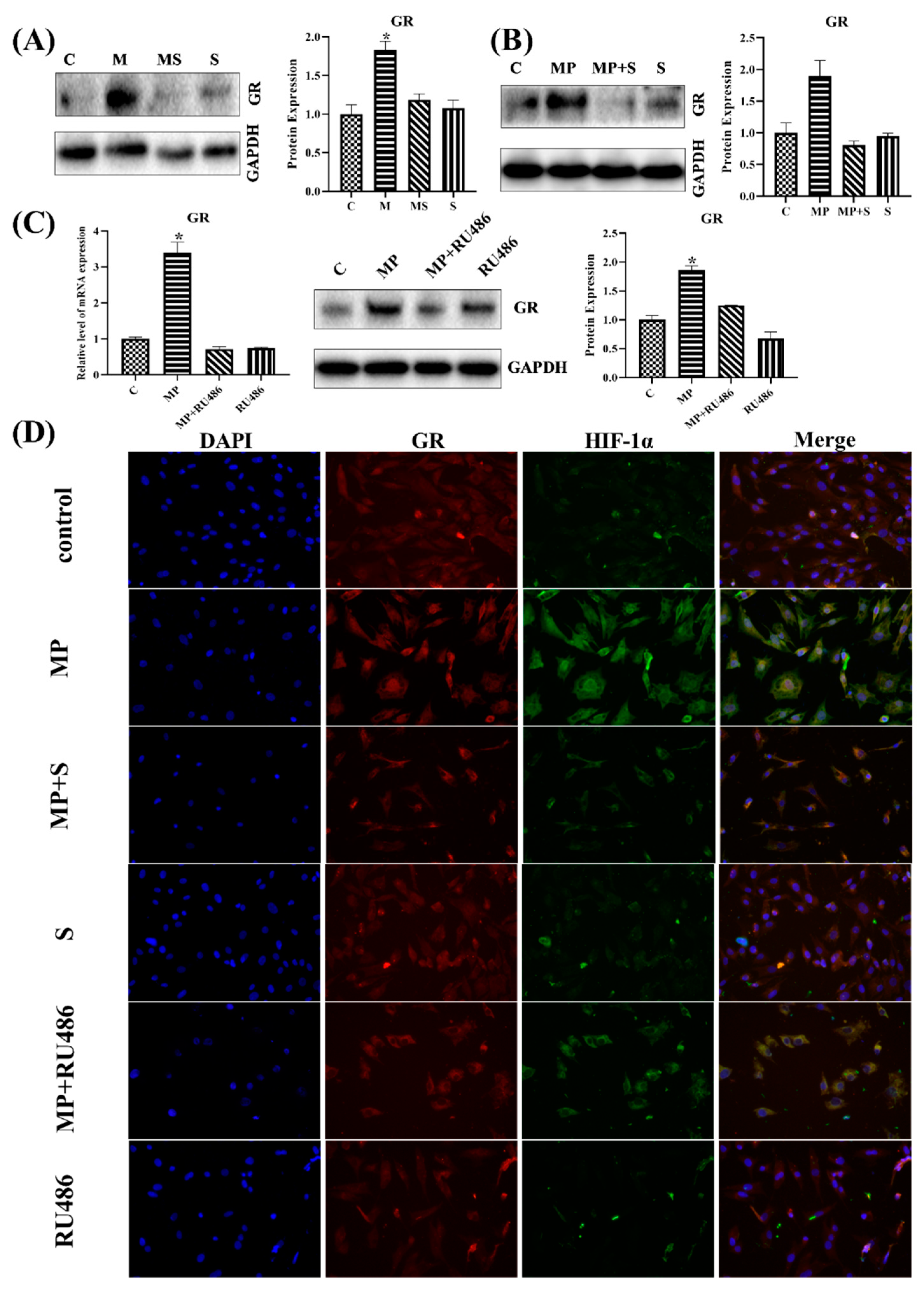 Cells 11 03945 g007 Cells 11 03945 g007
