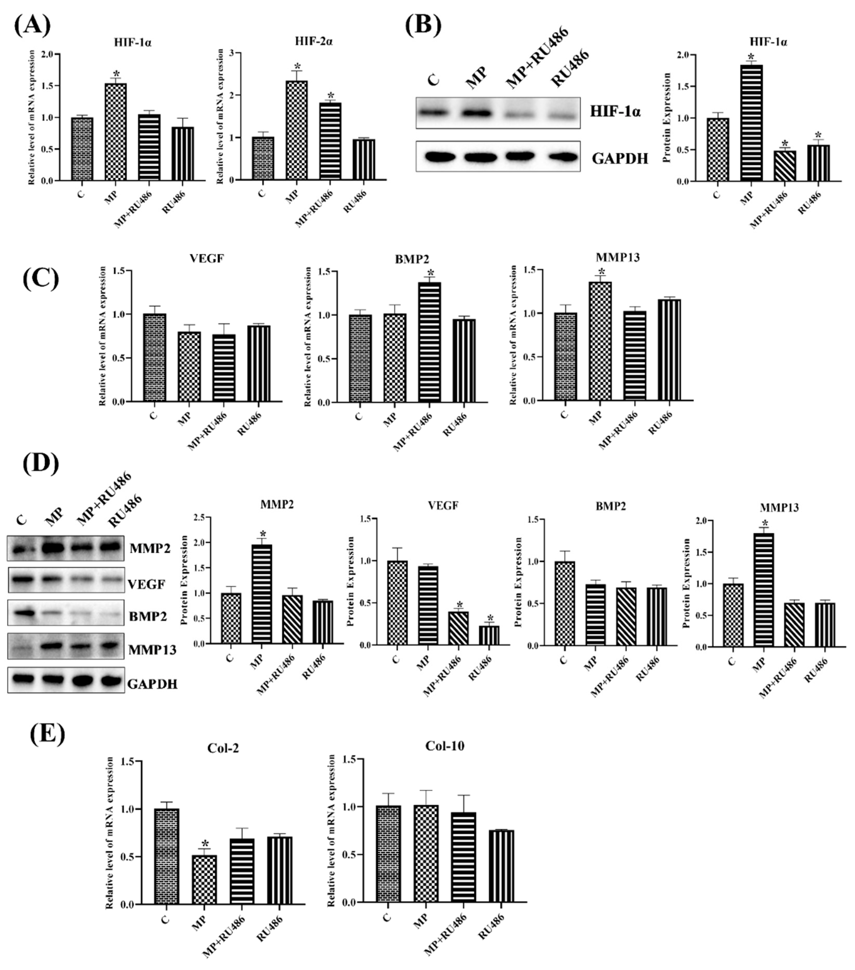 Cells 11 03945 g008 Cells 11 03945 g008