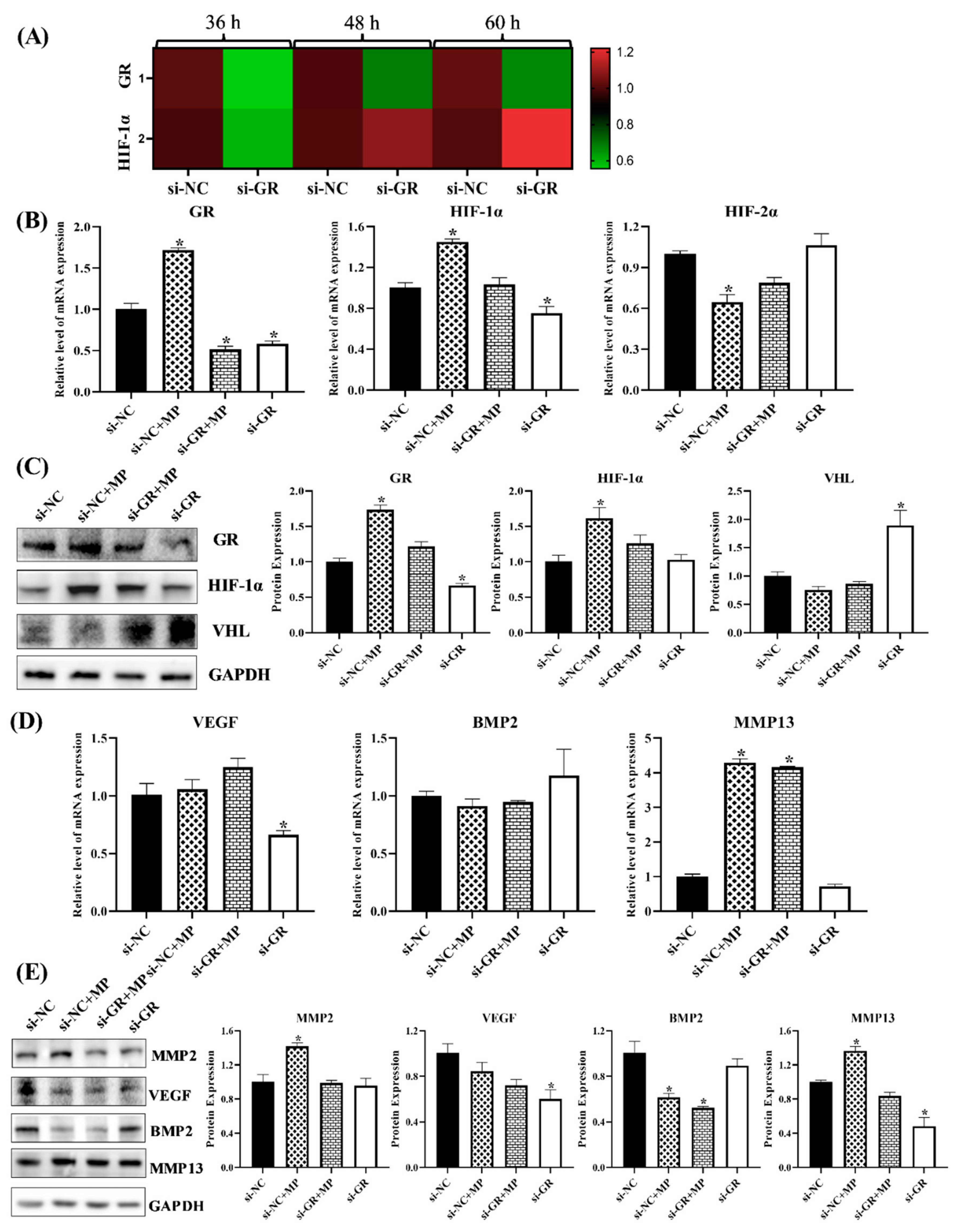 Cells 11 03945 g009a Cells 11 03945 g009a