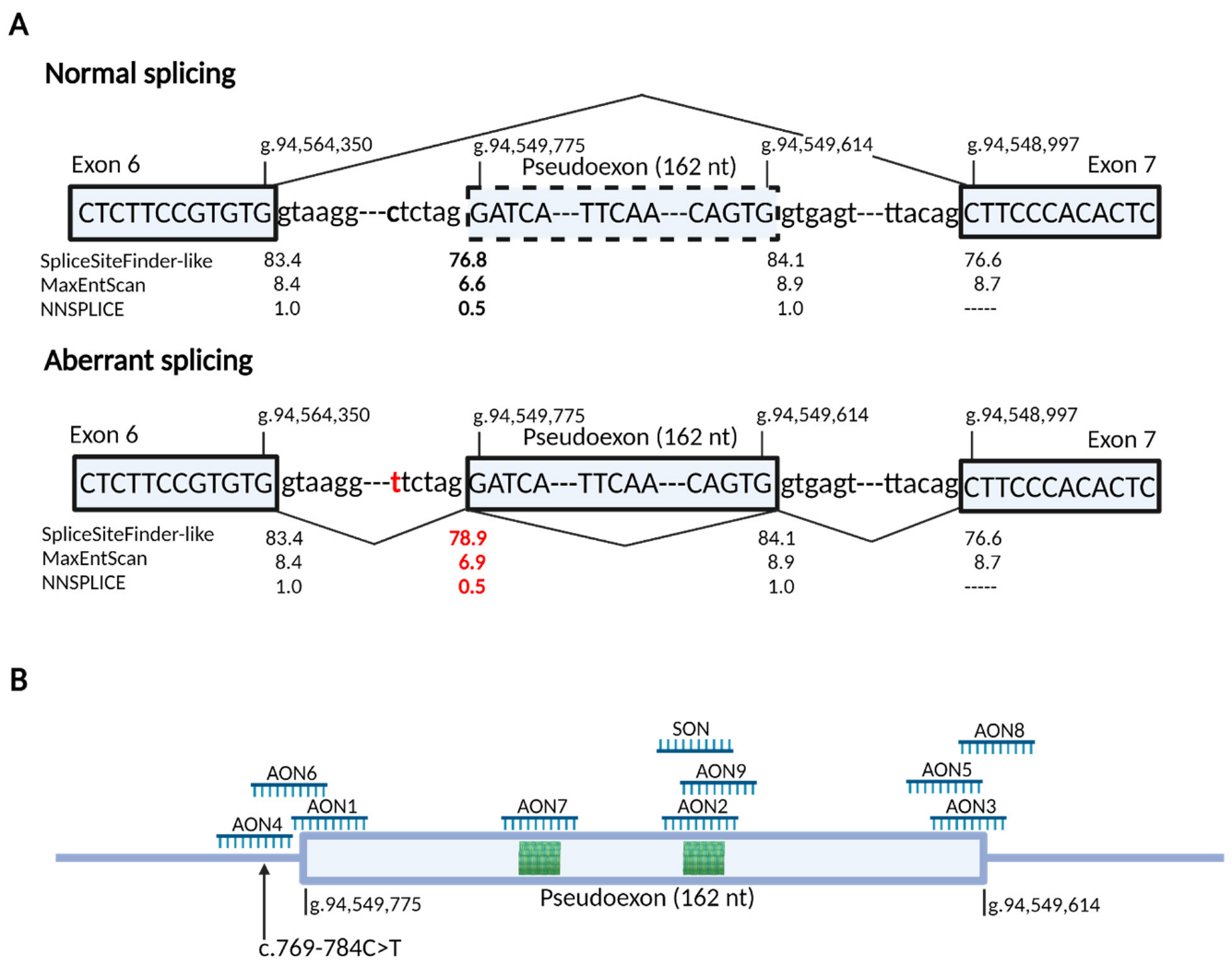 Cells 11 03947 g001 Cells 11 03947 g001