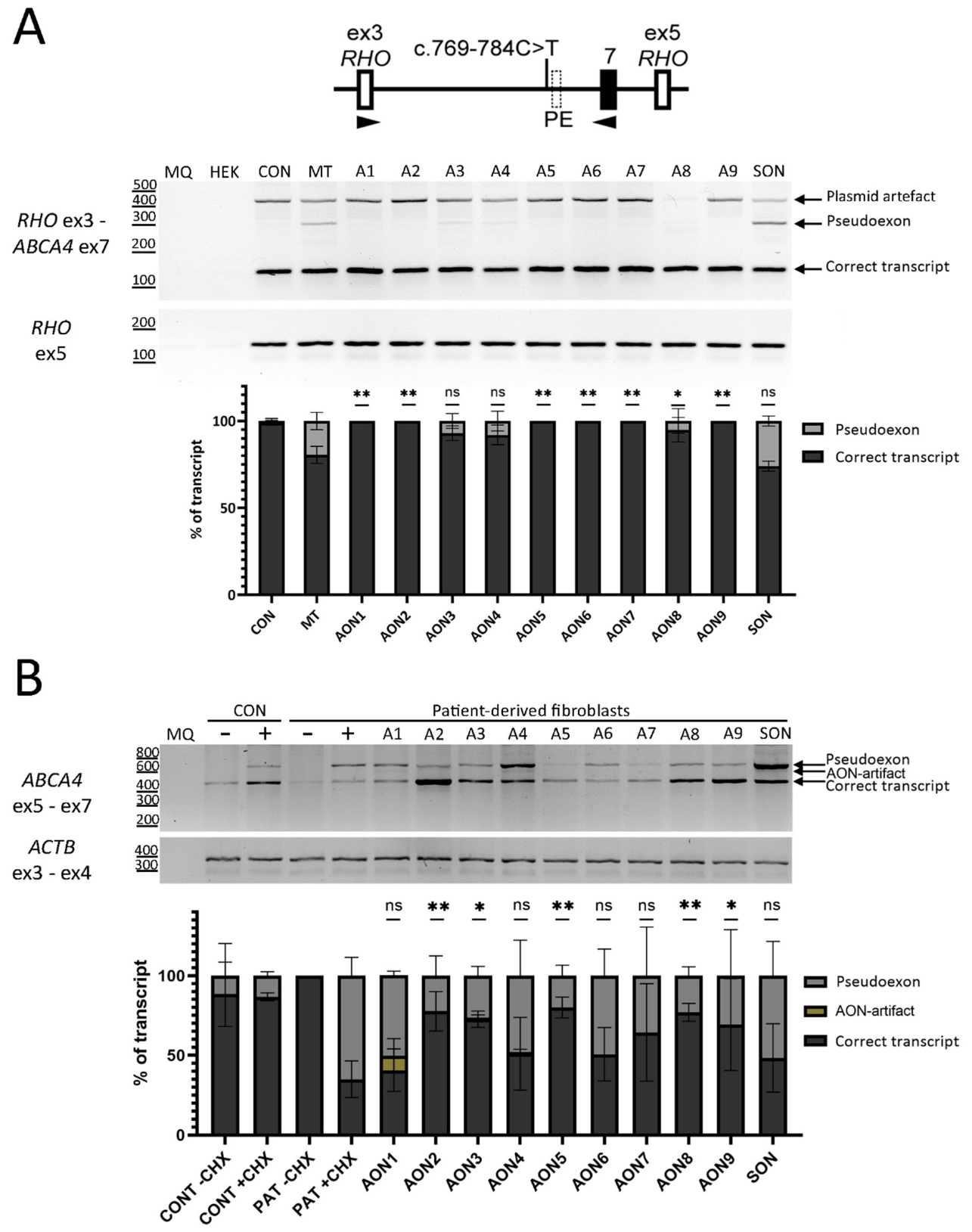 Cells 11 03947 g002 Cells 11 03947 g002