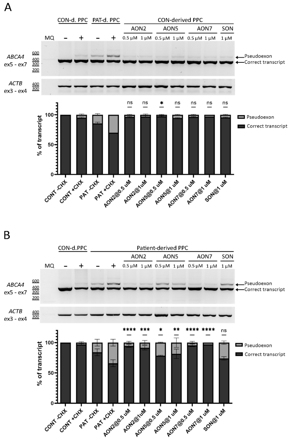 Cells 11 03947 g003 Cells 11 03947 g003