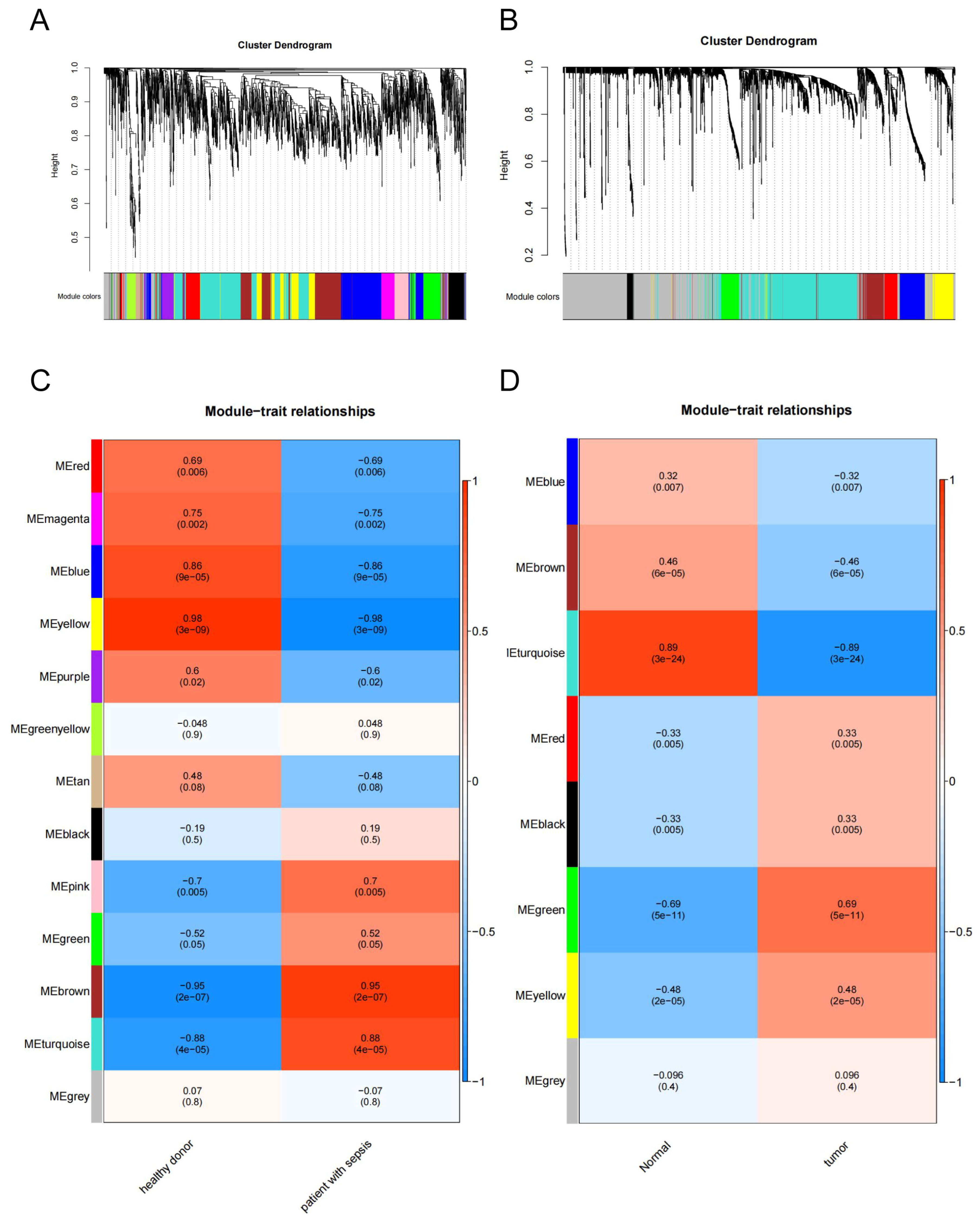 Cells 11 03958 g001a