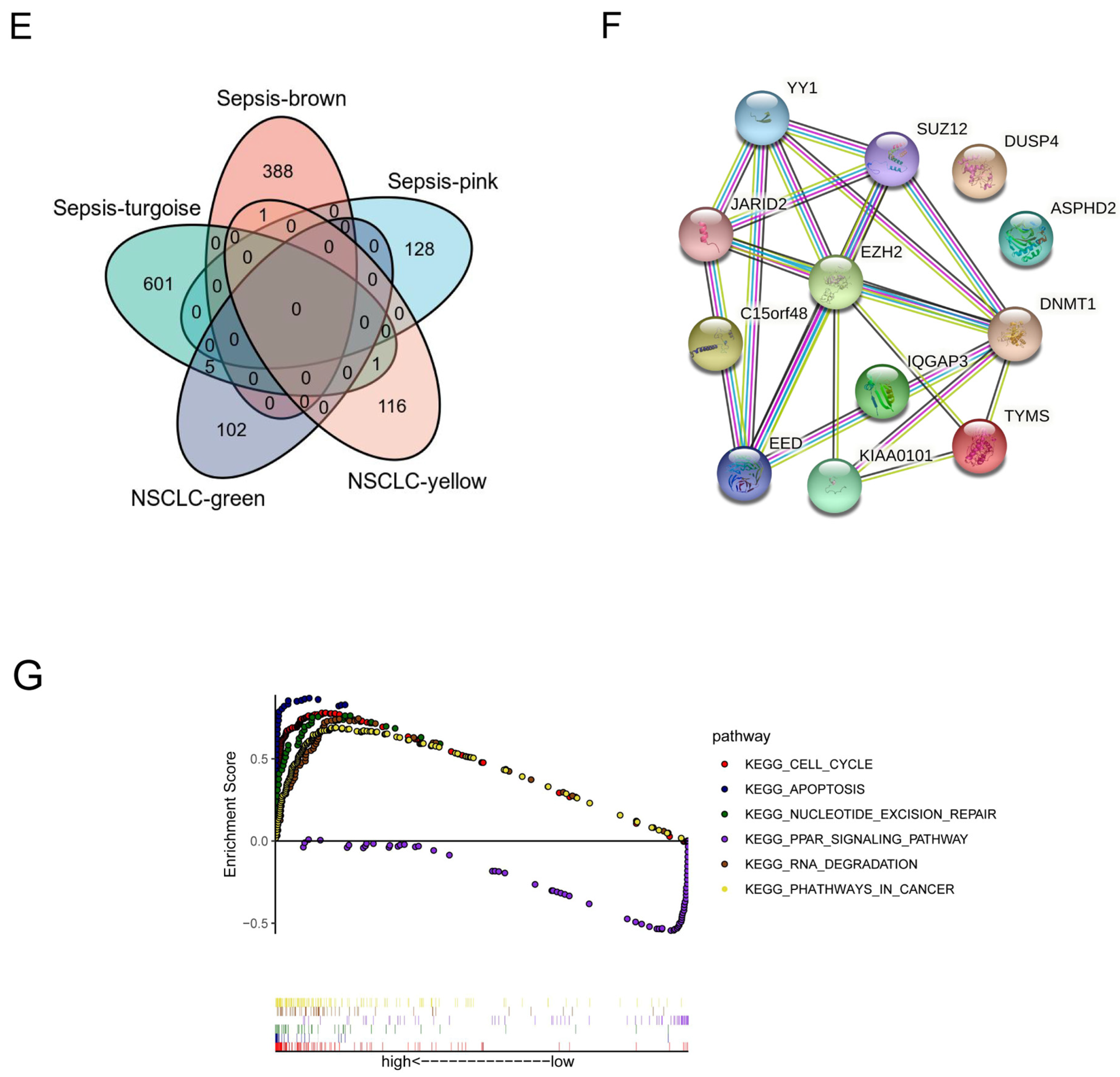 Cells 11 03958 g001b