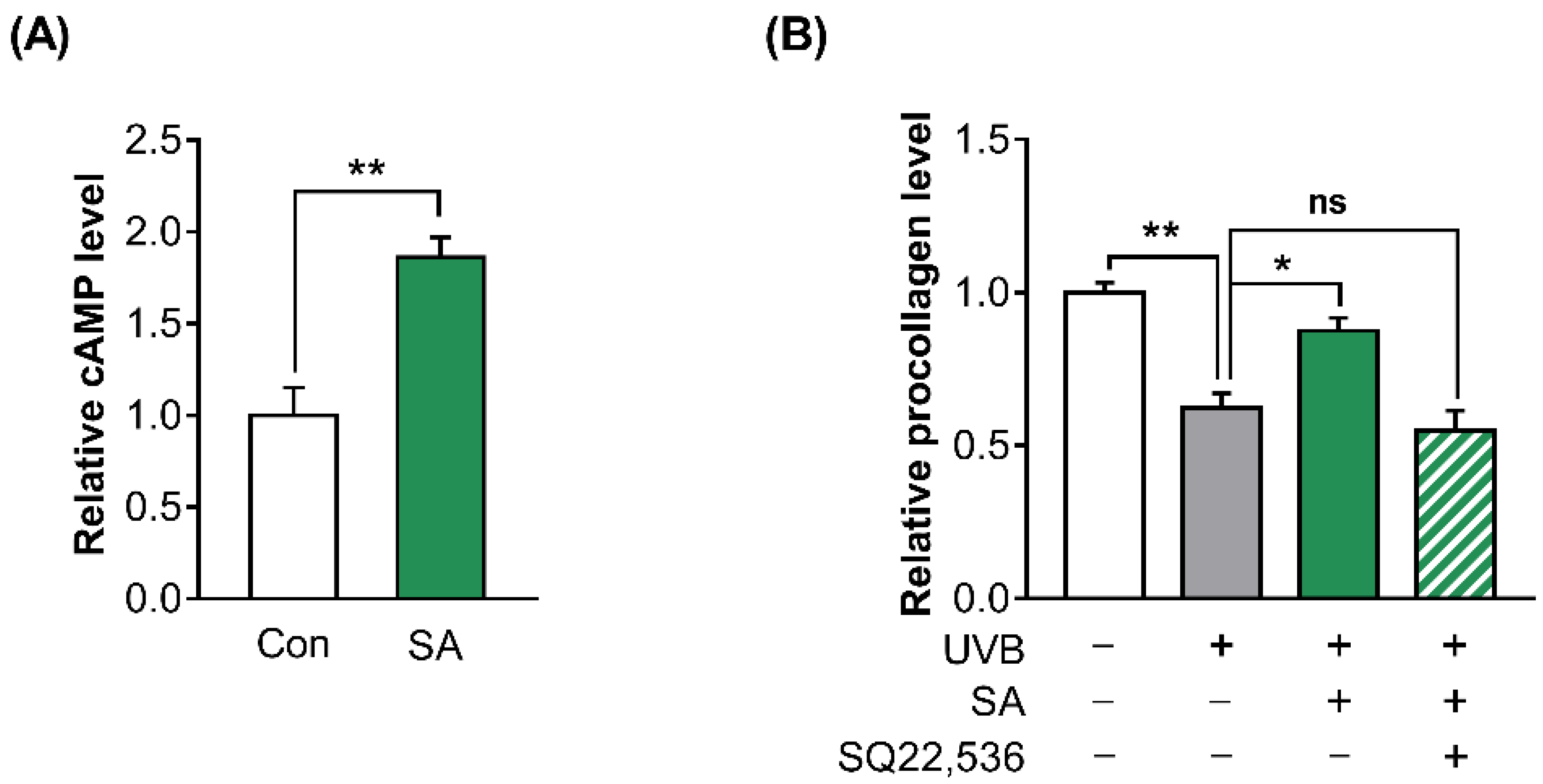 Cells 11 03961 g005 Cells 11 03961 g005