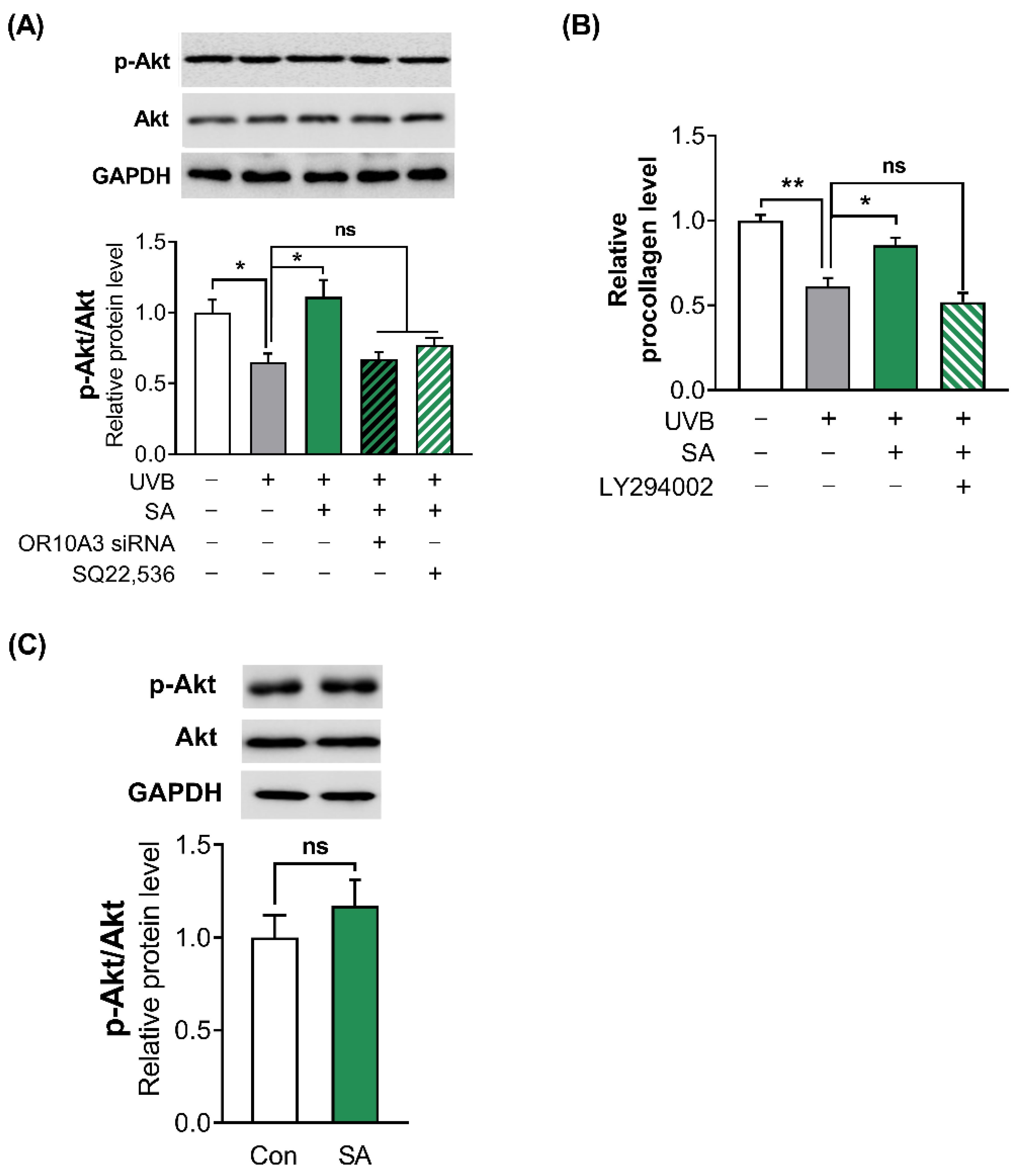 Cells 11 03961 g006 Cells 11 03961 g006