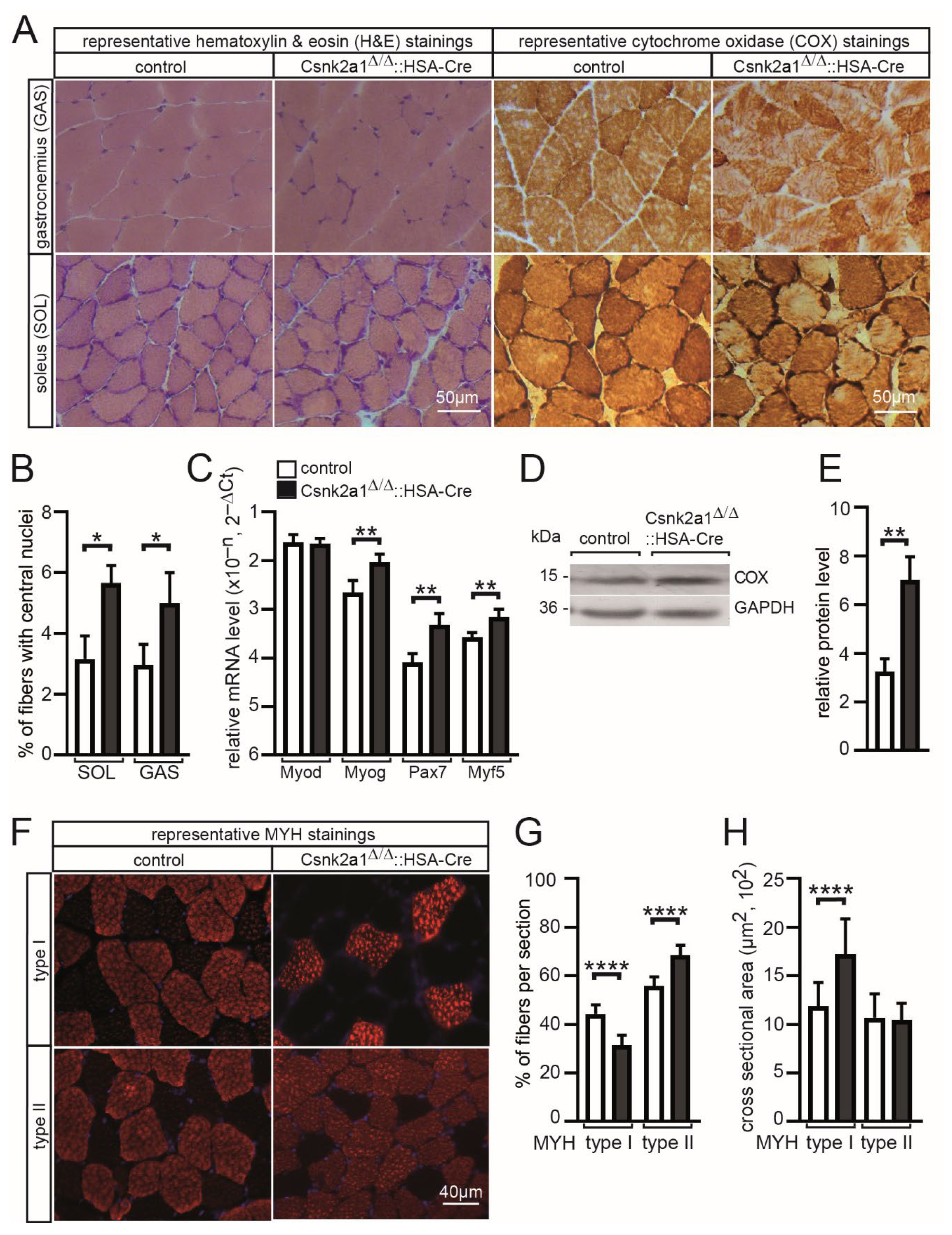 Cells 11 03962 g003 Cells 11 03962 g003
