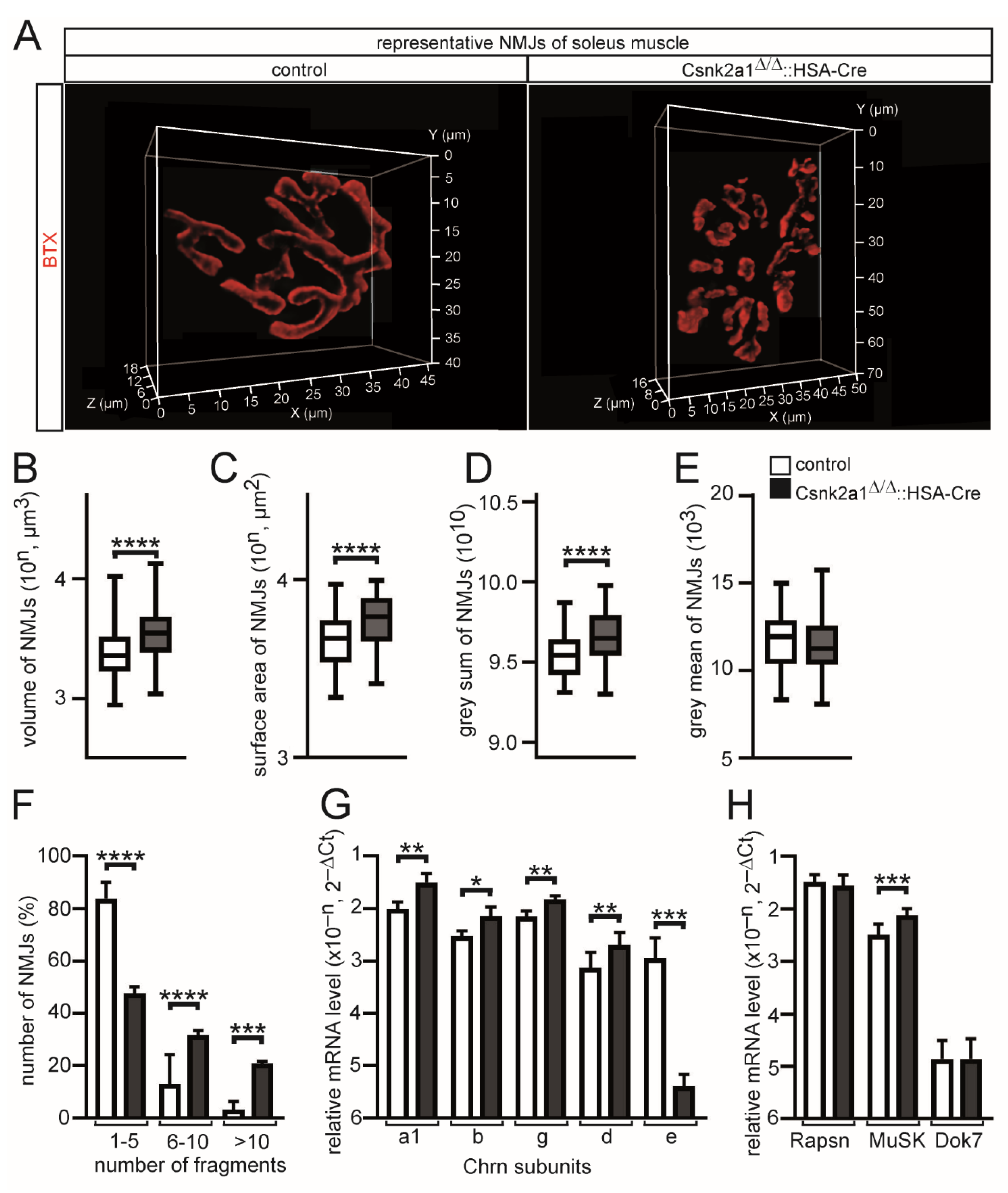Cells 11 03962 g004 Cells 11 03962 g004