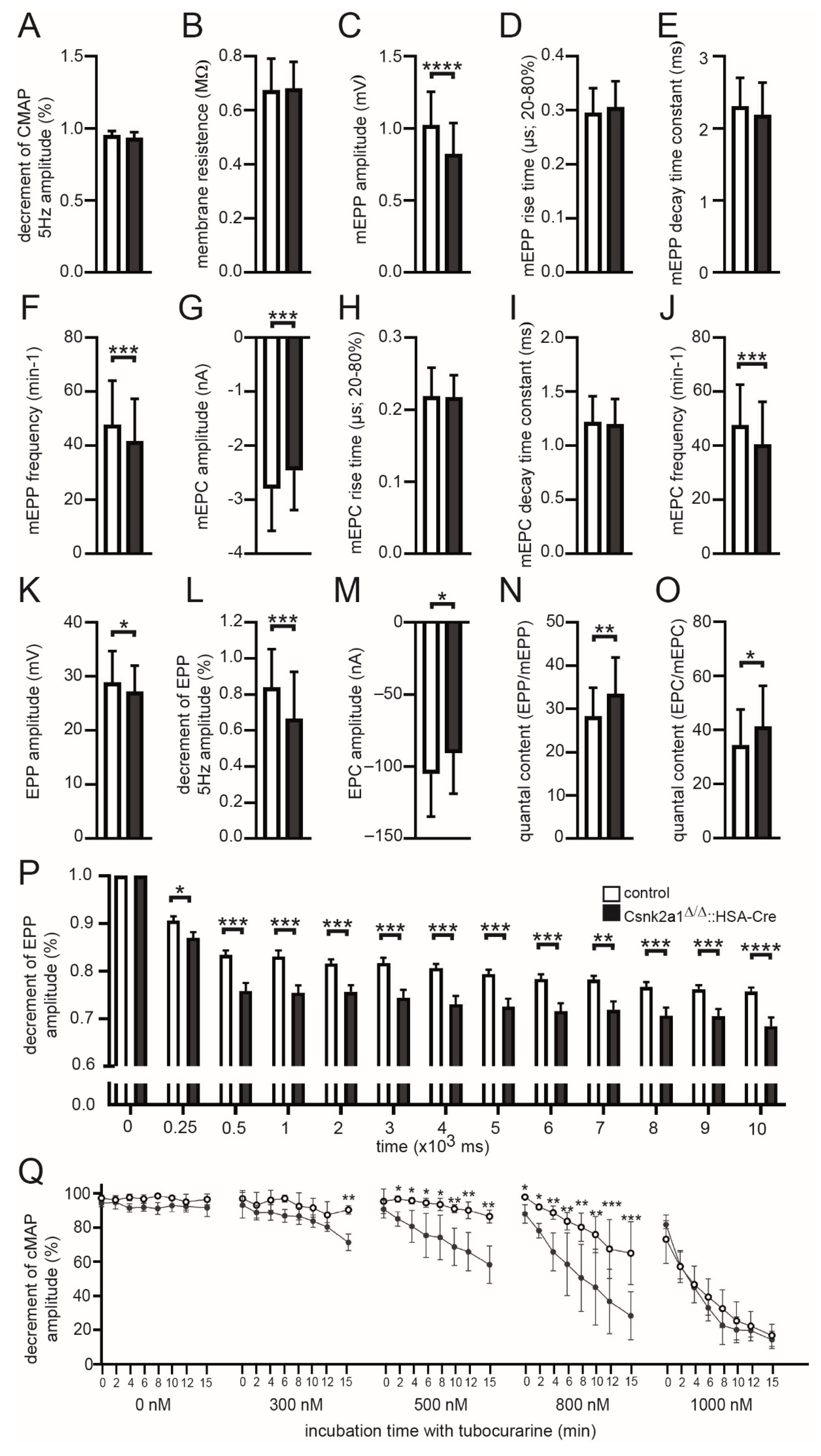 Cells 11 03962 g005 Cells 11 03962 g005