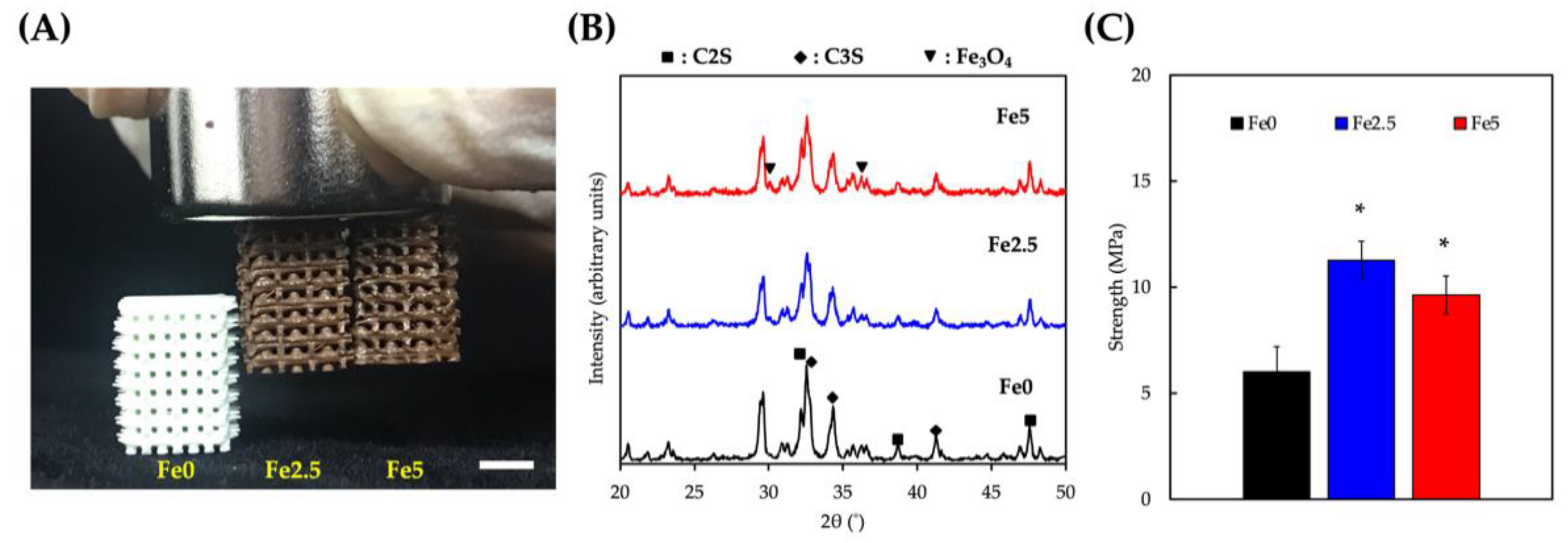 Cells 11 03967 g001 Cells 11 03967 g001