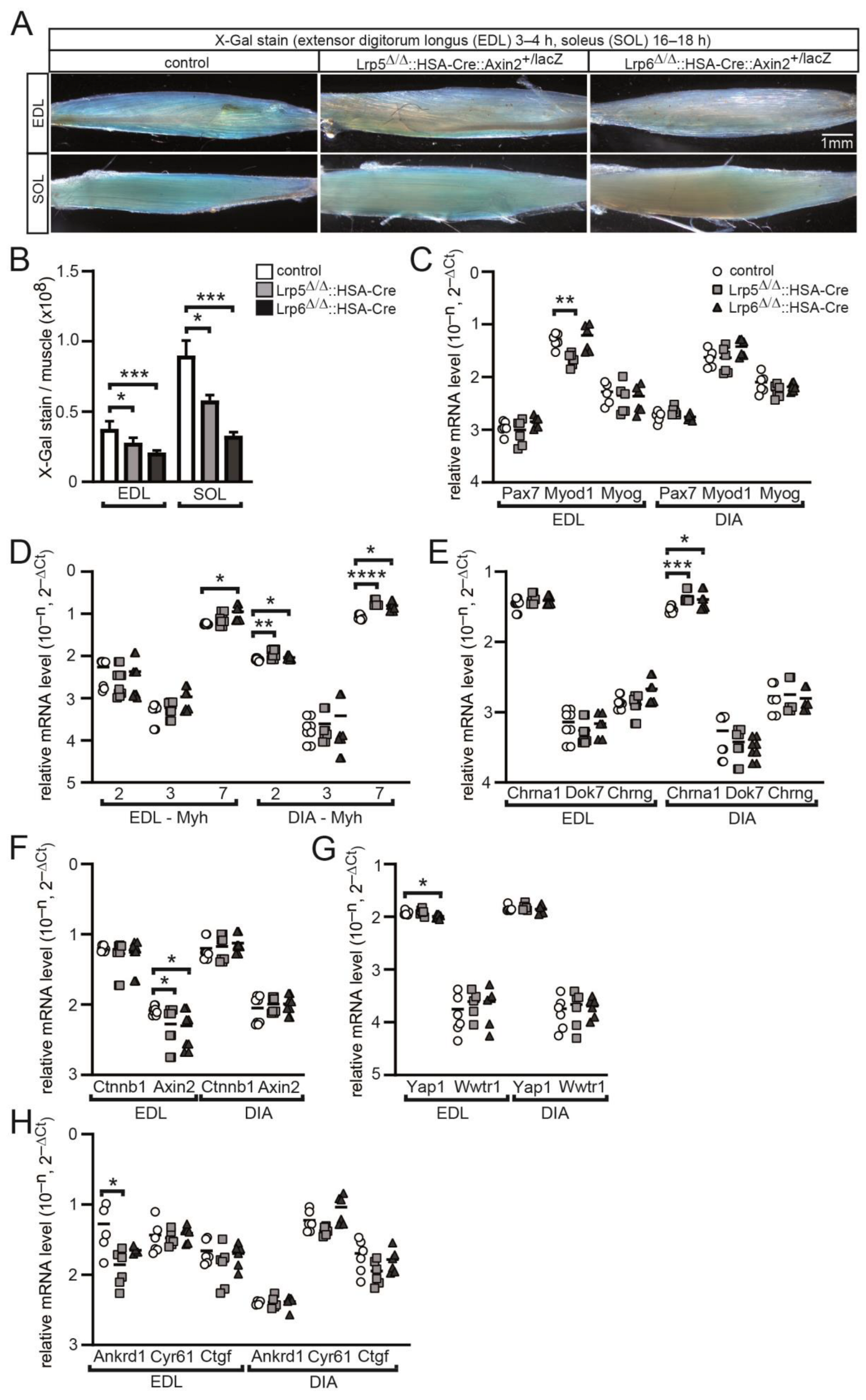 Cells 11 03968 g004 Cells 11 03968 g004