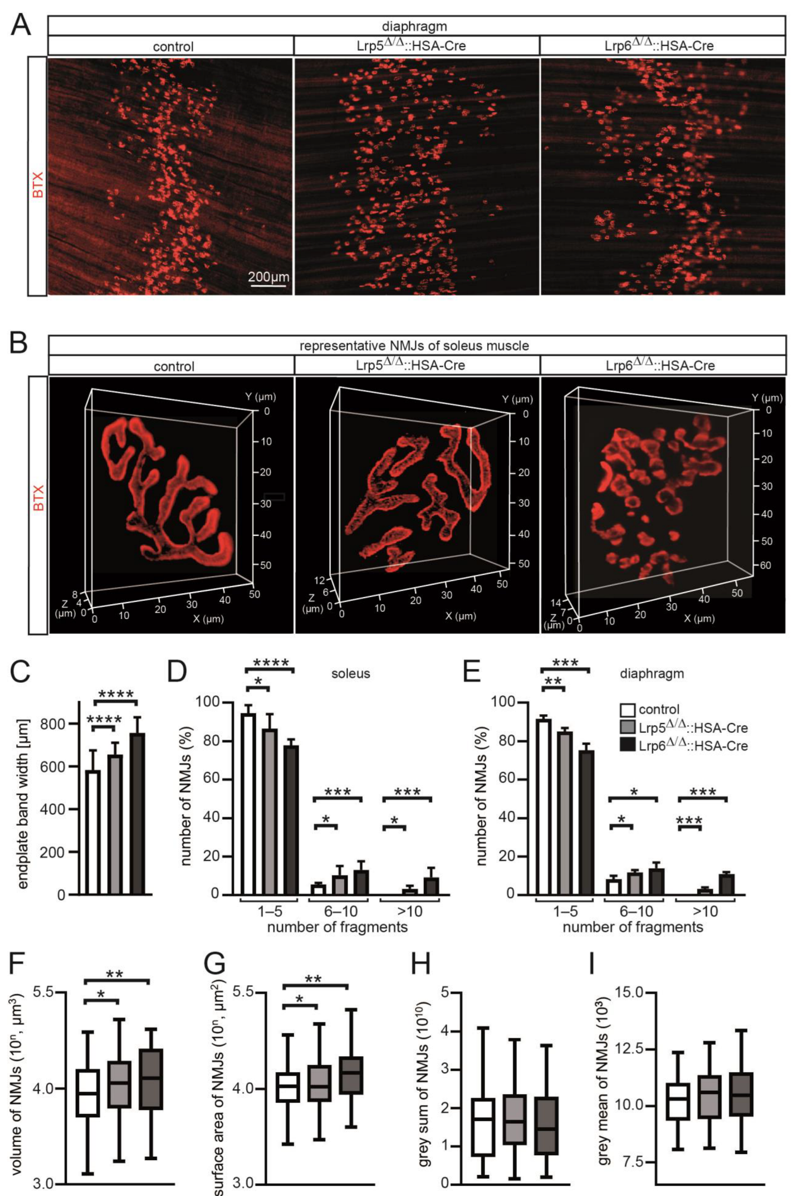Cells 11 03968 g005 Cells 11 03968 g005