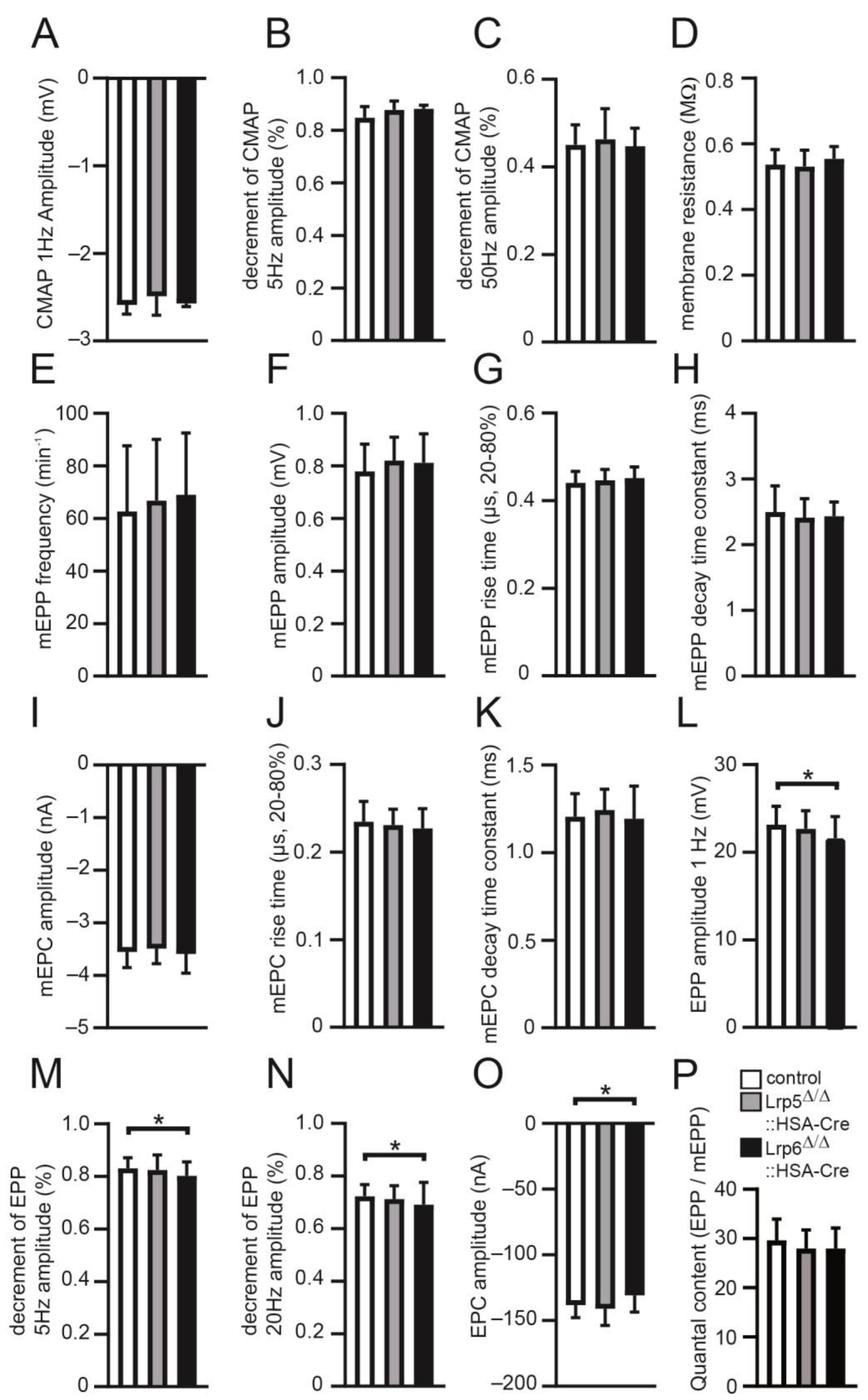 Cells 11 03968 g006 Cells 11 03968 g006
