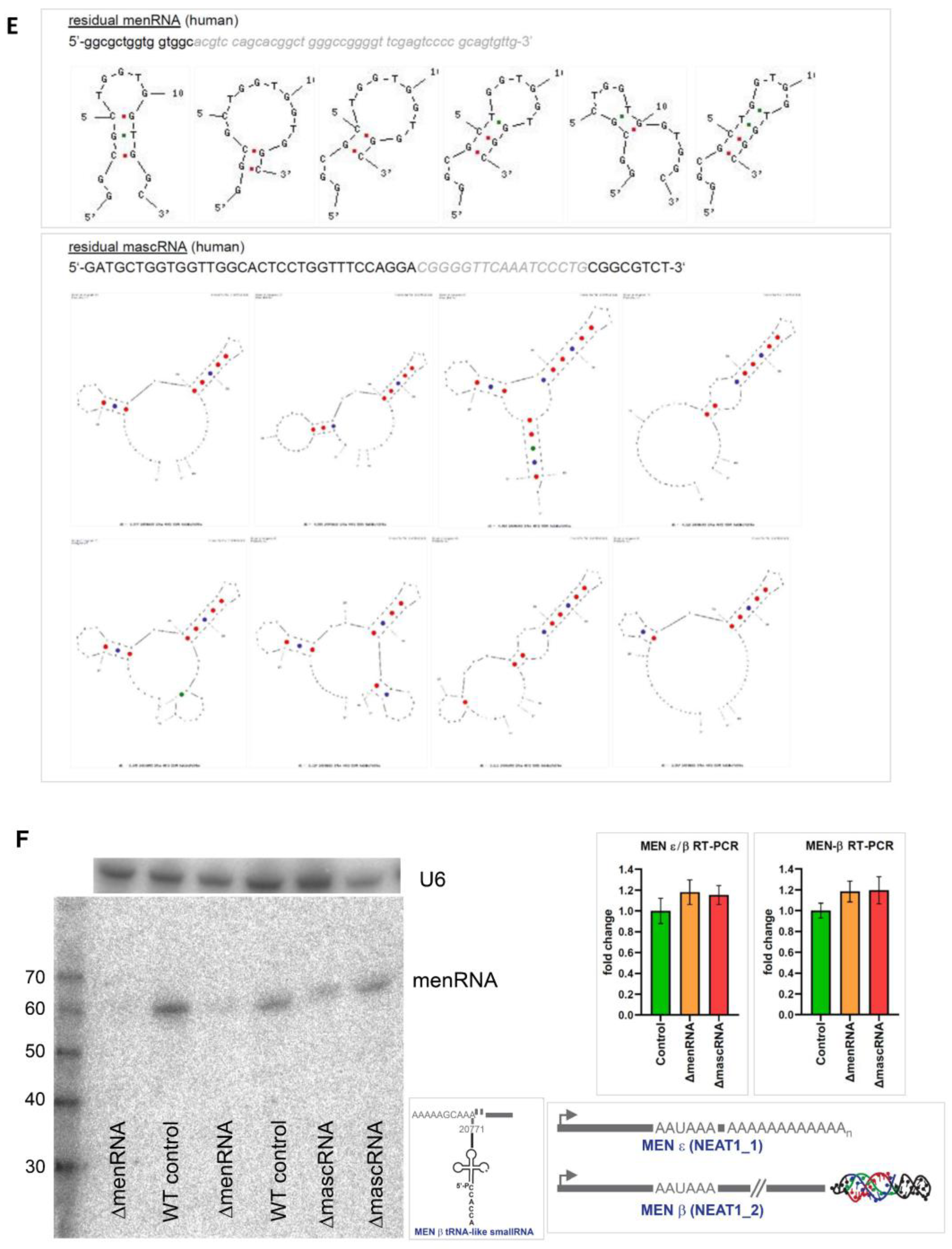 Cells 11 03970 g001c Cells 11 03970 g001c
