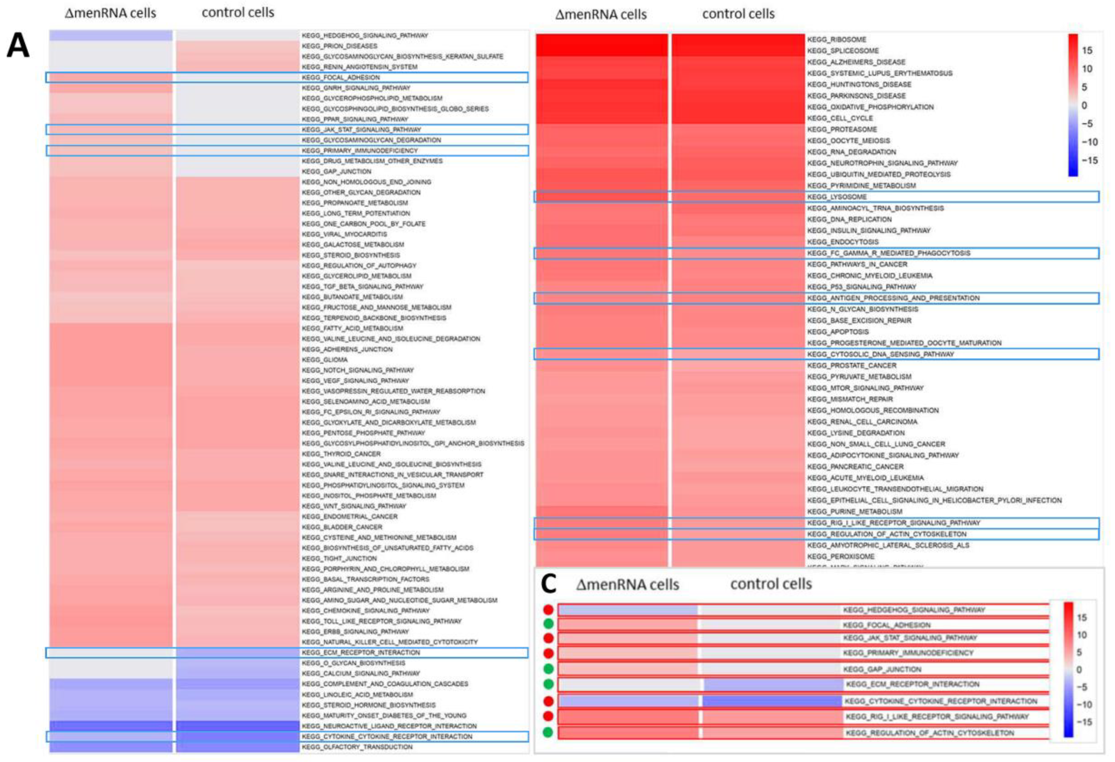 Cells 11 03970 g002a Cells 11 03970 g002a