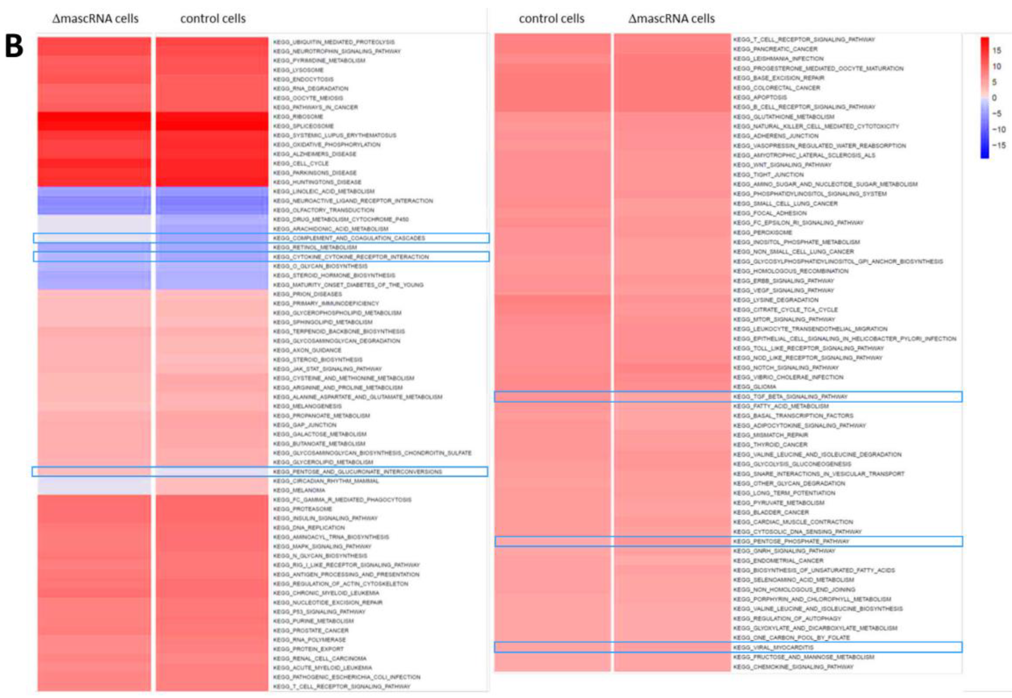 Cells 11 03970 g002b Cells 11 03970 g002b