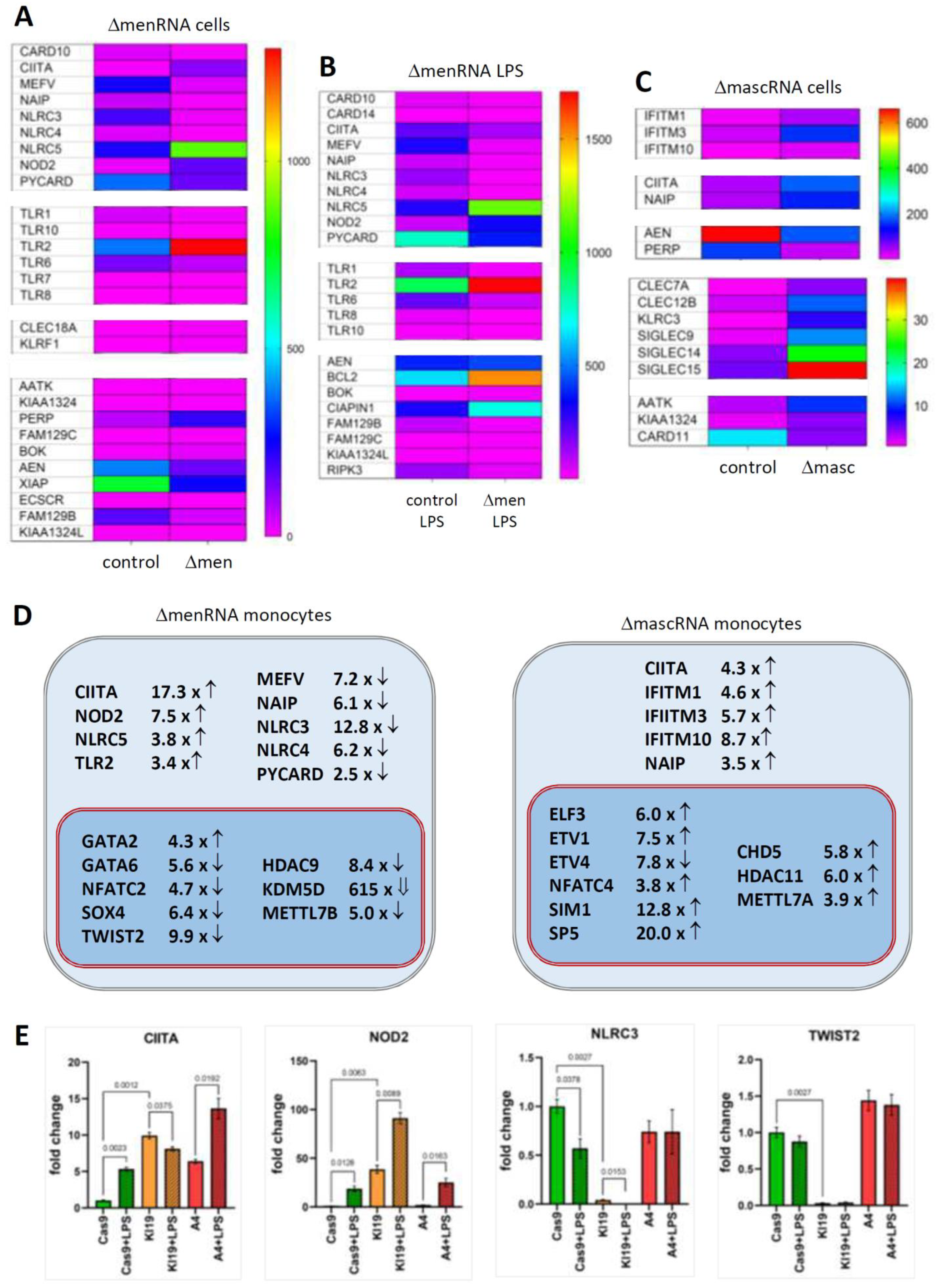 Cells 11 03970 g003a Cells 11 03970 g003a