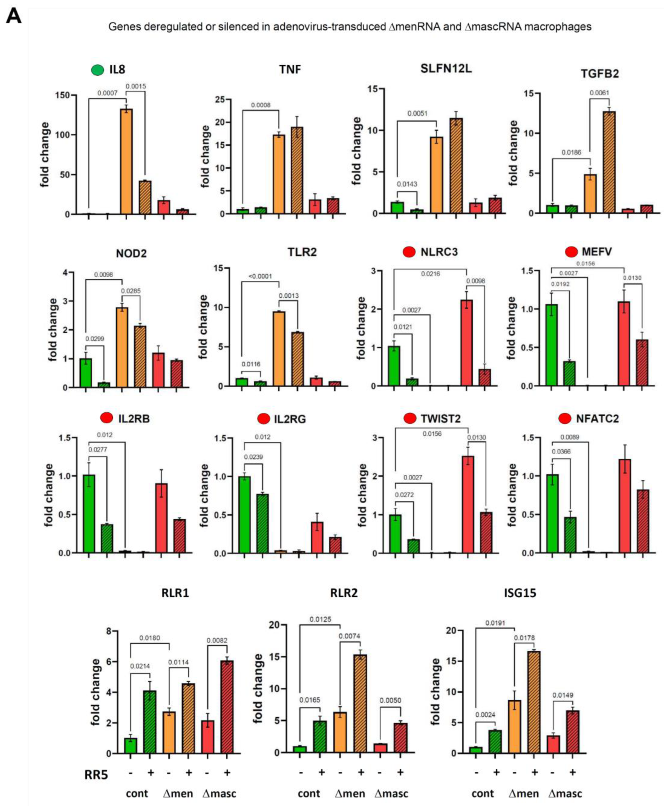 Cells 11 03970 g006a Cells 11 03970 g006a