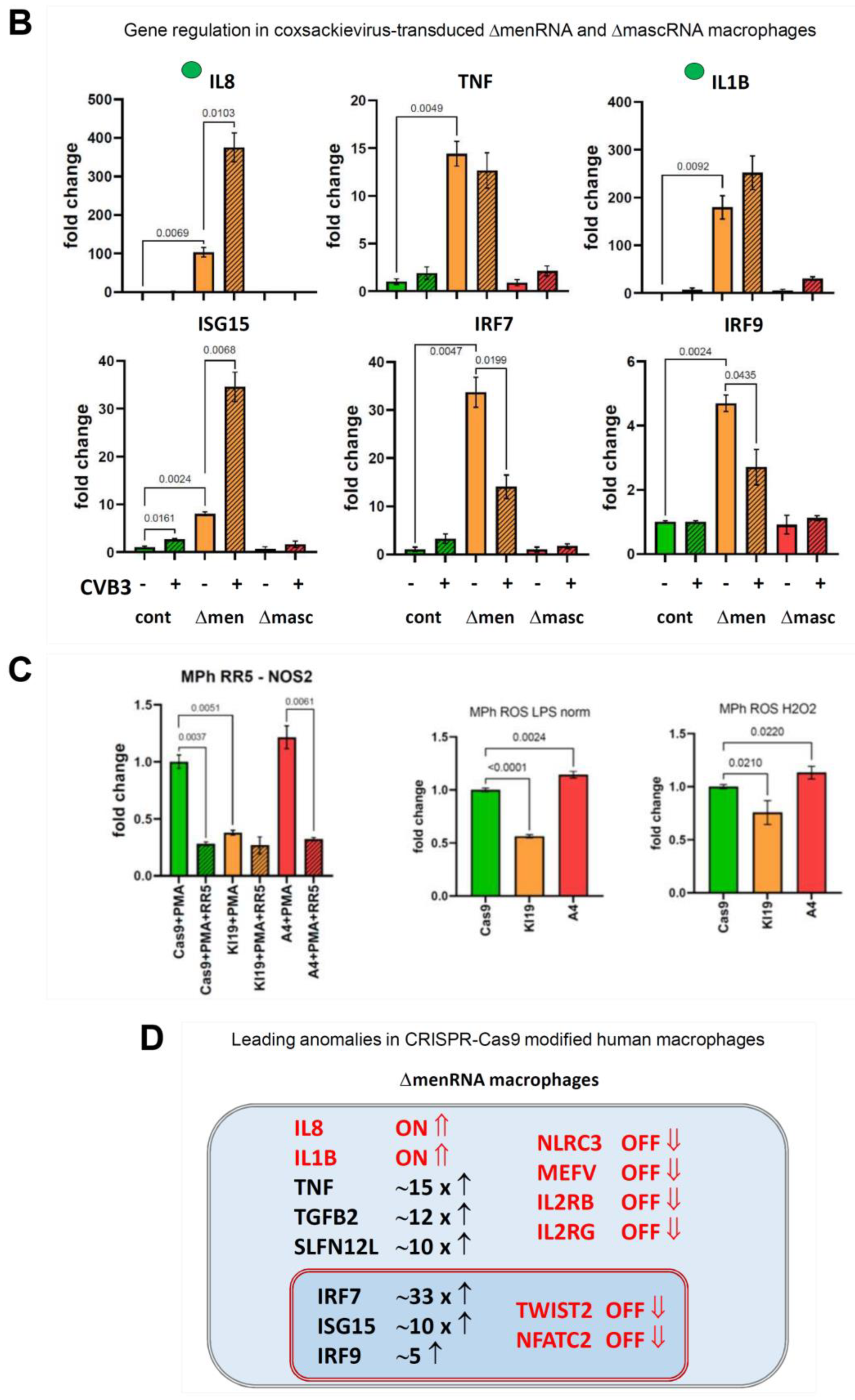 Cells 11 03970 g006b Cells 11 03970 g006b