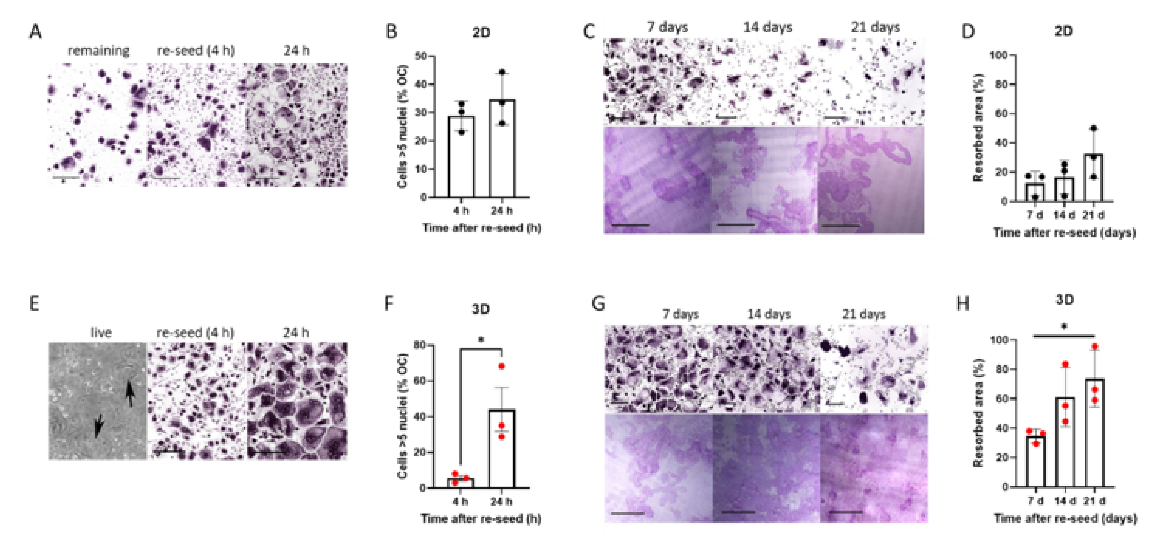 Cells 11 03973 g002 Cells 11 03973 g002