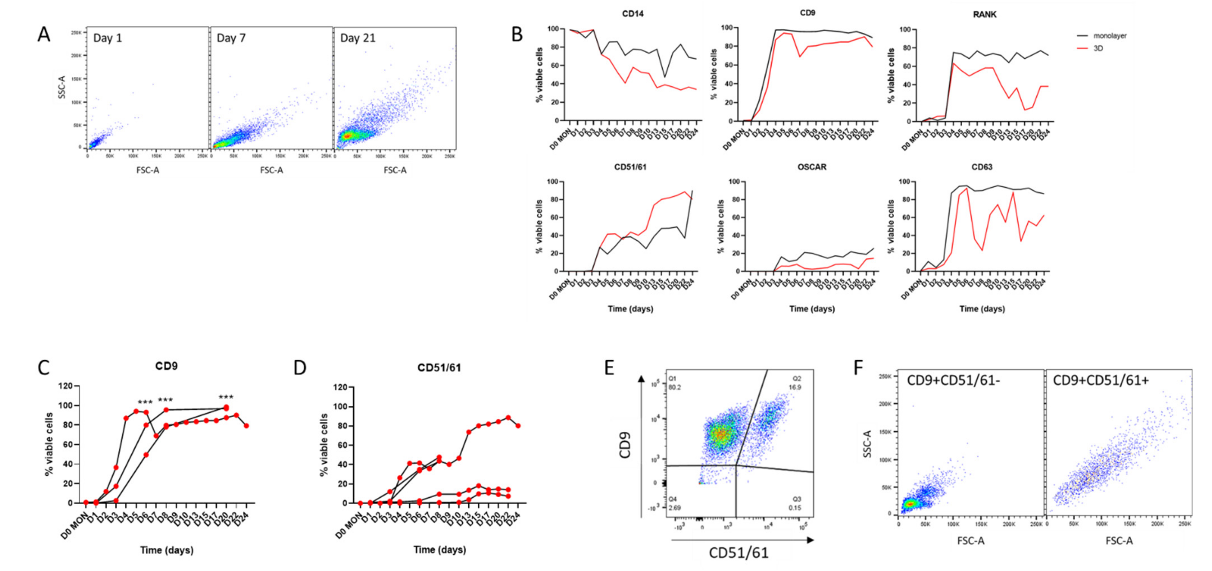 Cells 11 03973 g003 Cells 11 03973 g003