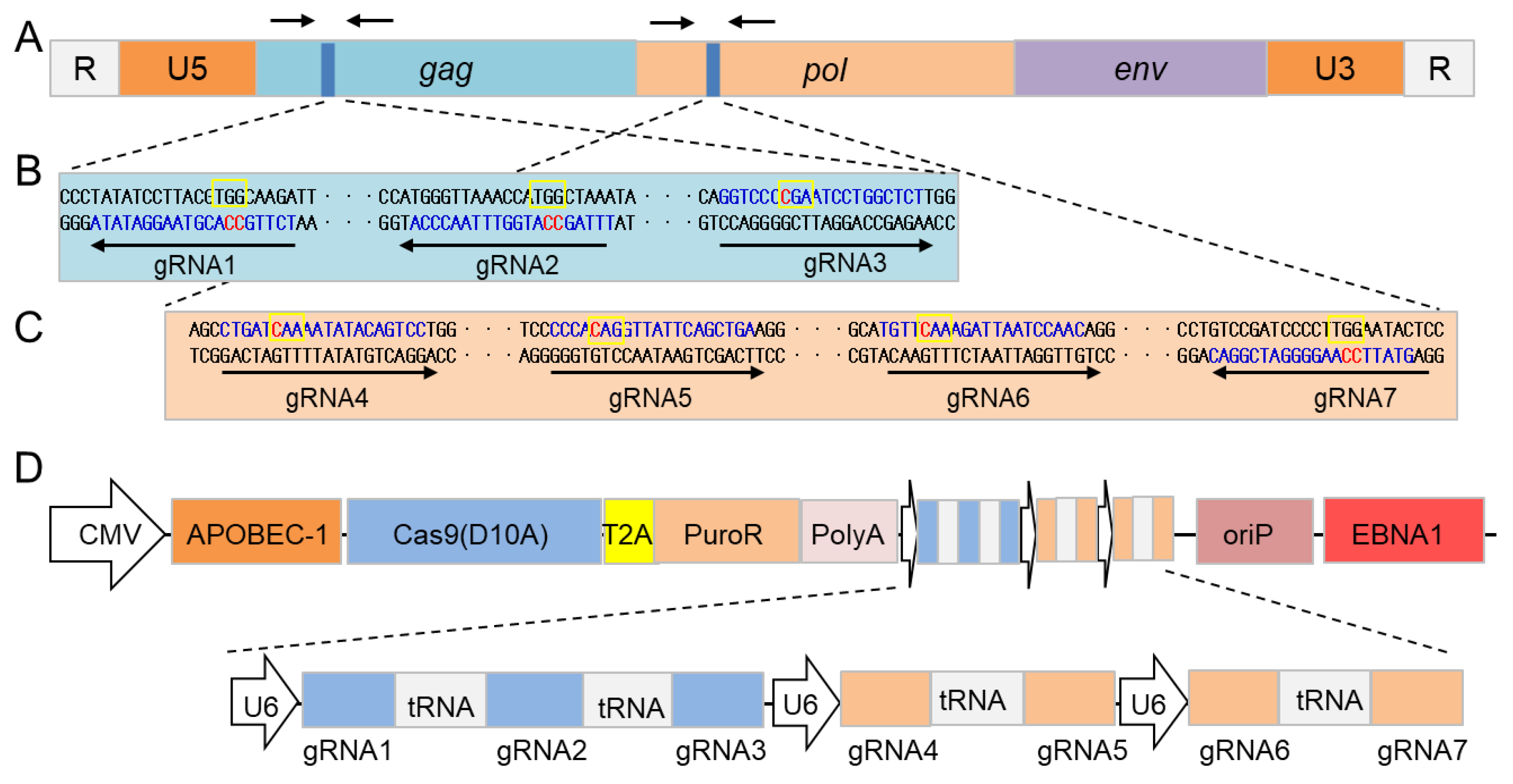 Cells 11 03975 g001 Cells 11 03975 g001