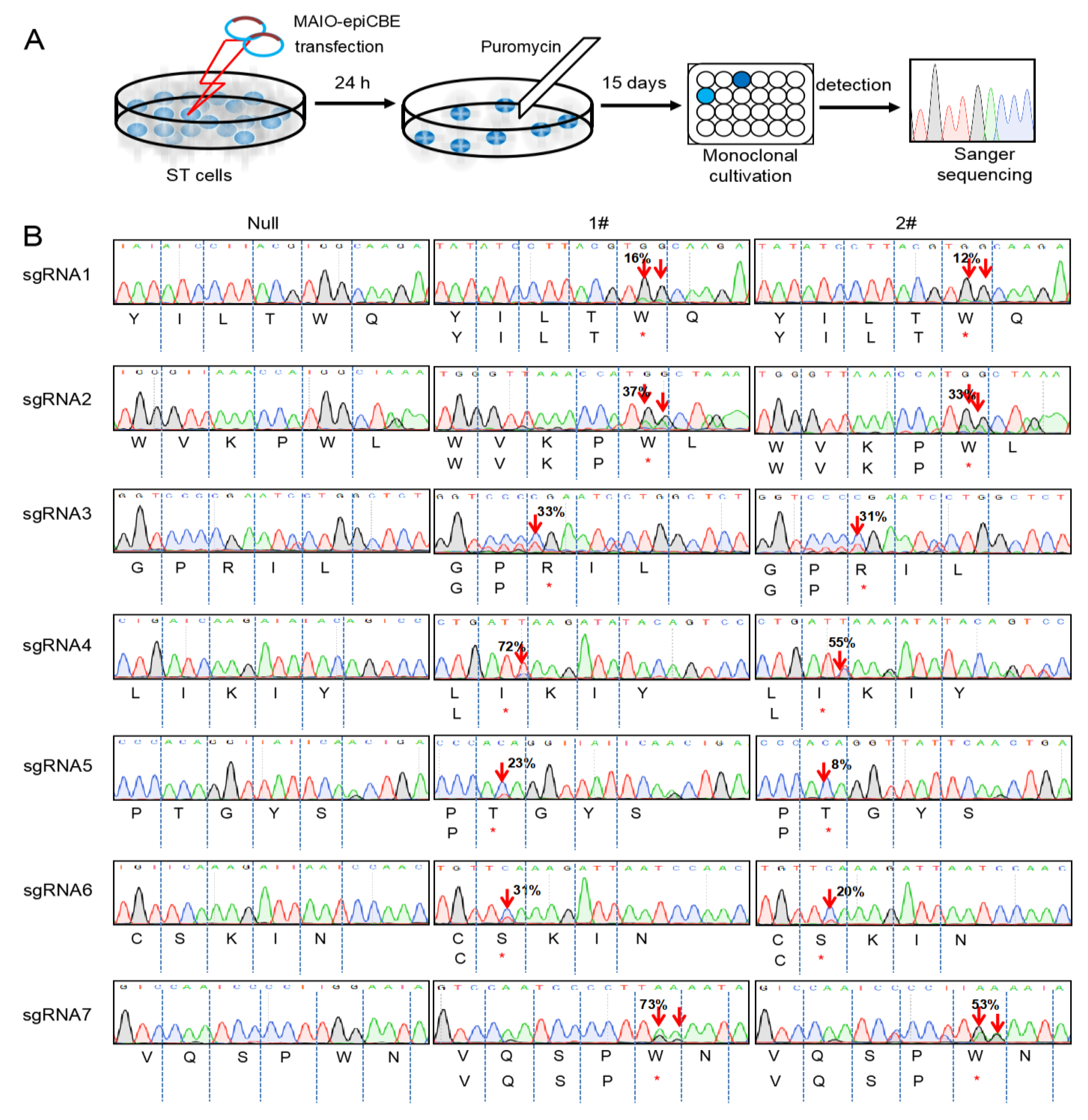 Cells 11 03975 g002 Cells 11 03975 g002
