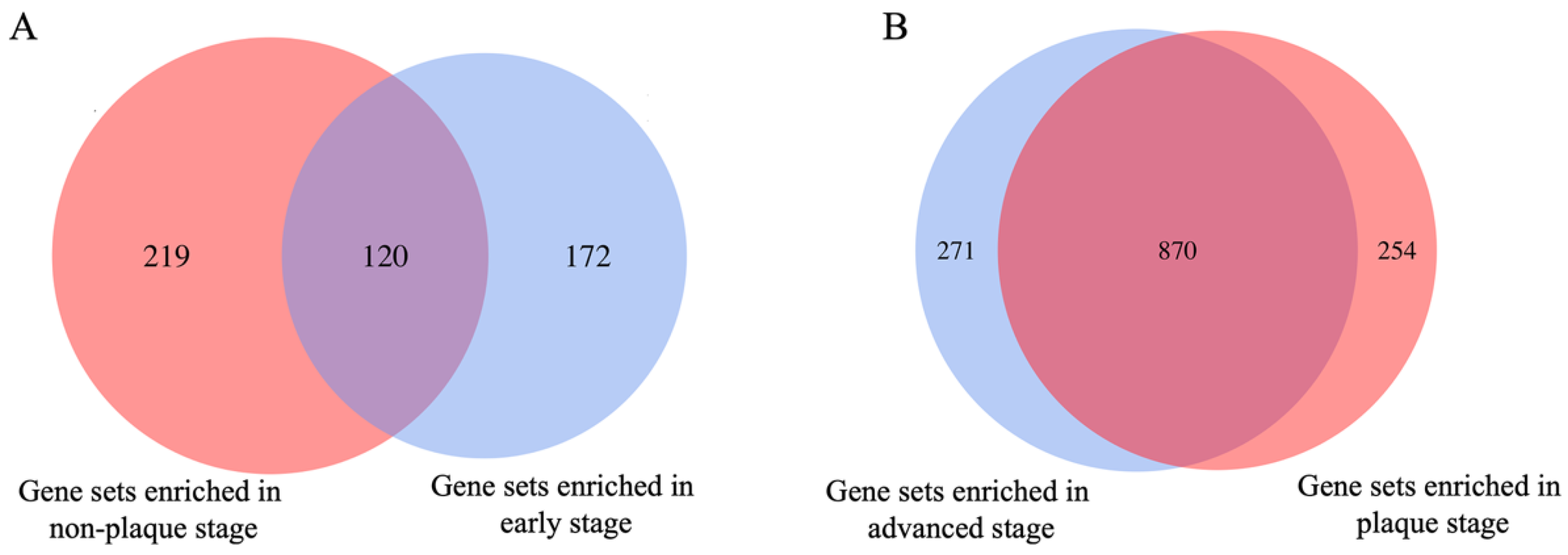 Cells 11 03976 g001 Cells 11 03976 g001