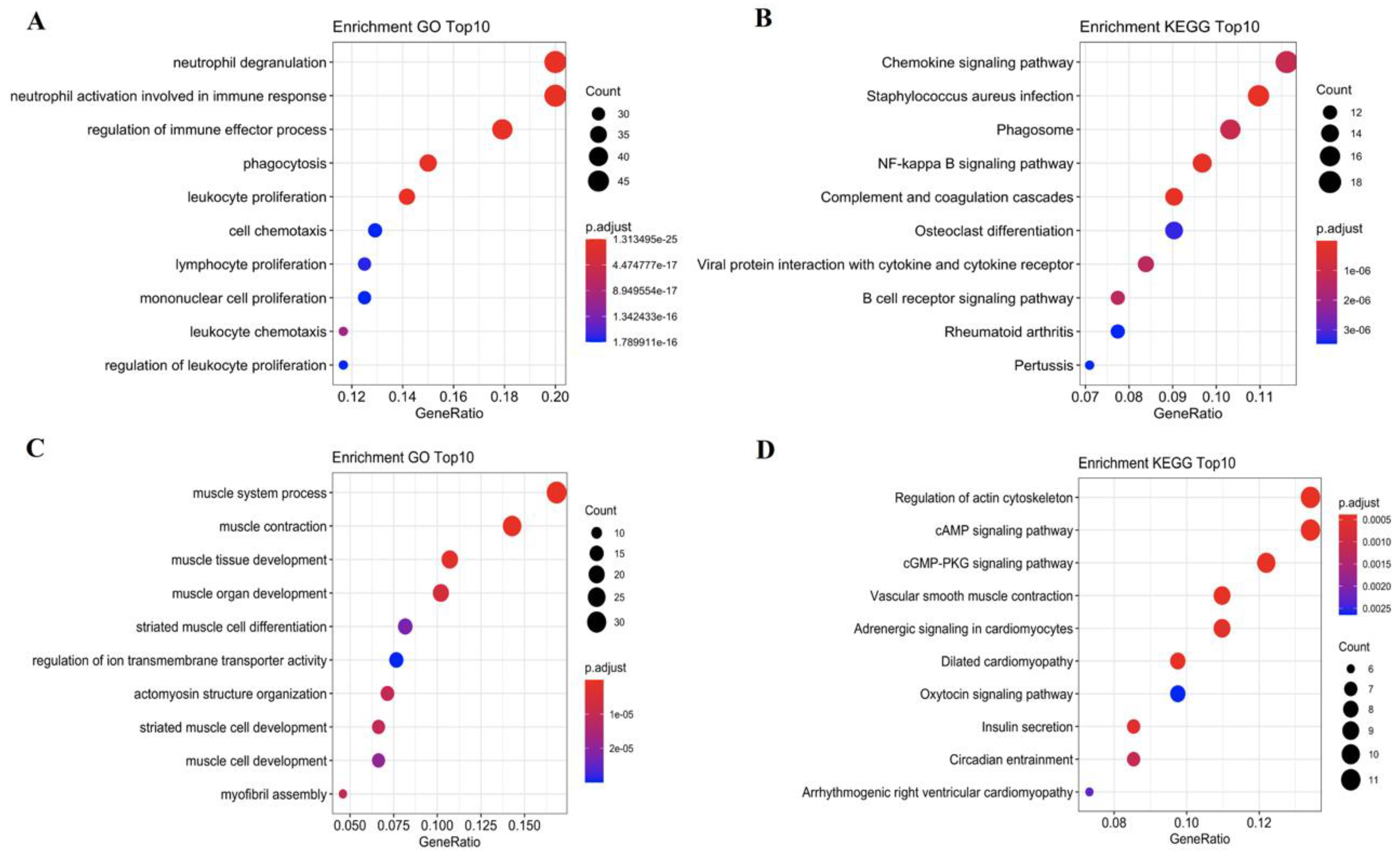 Cells 11 03976 g002 Cells 11 03976 g002