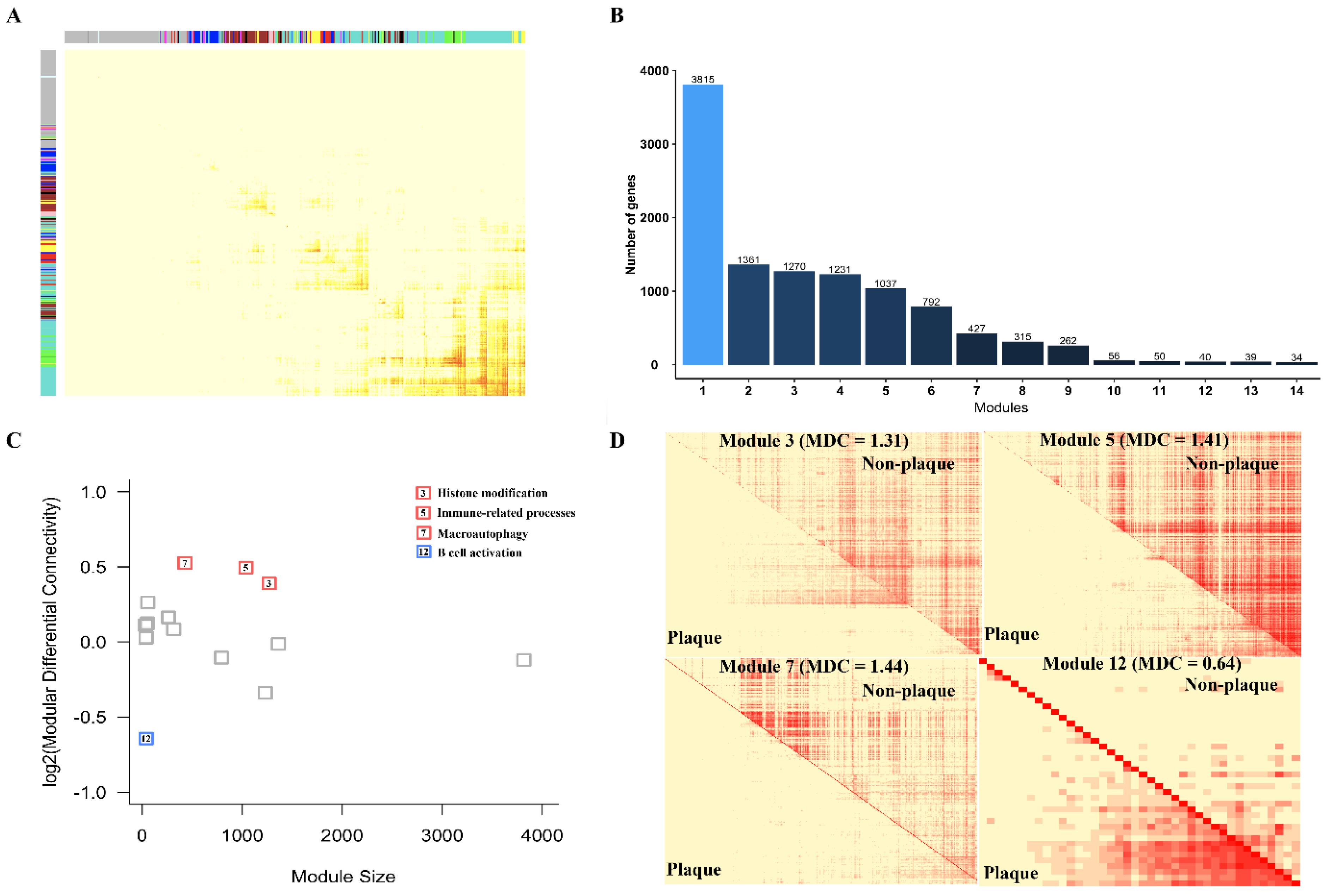 Cells 11 03976 g003 Cells 11 03976 g003