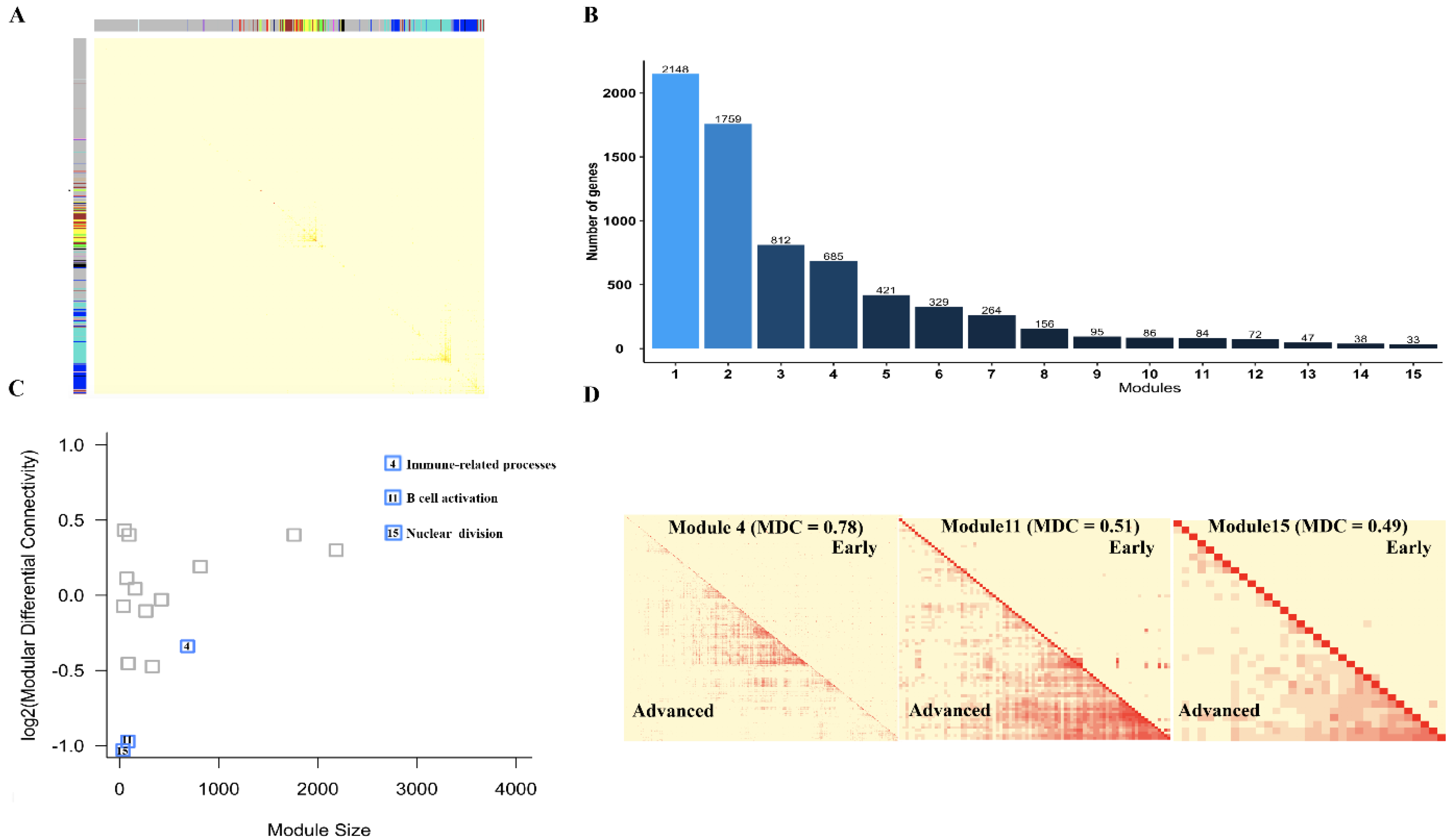 Cells 11 03976 g004 Cells 11 03976 g004
