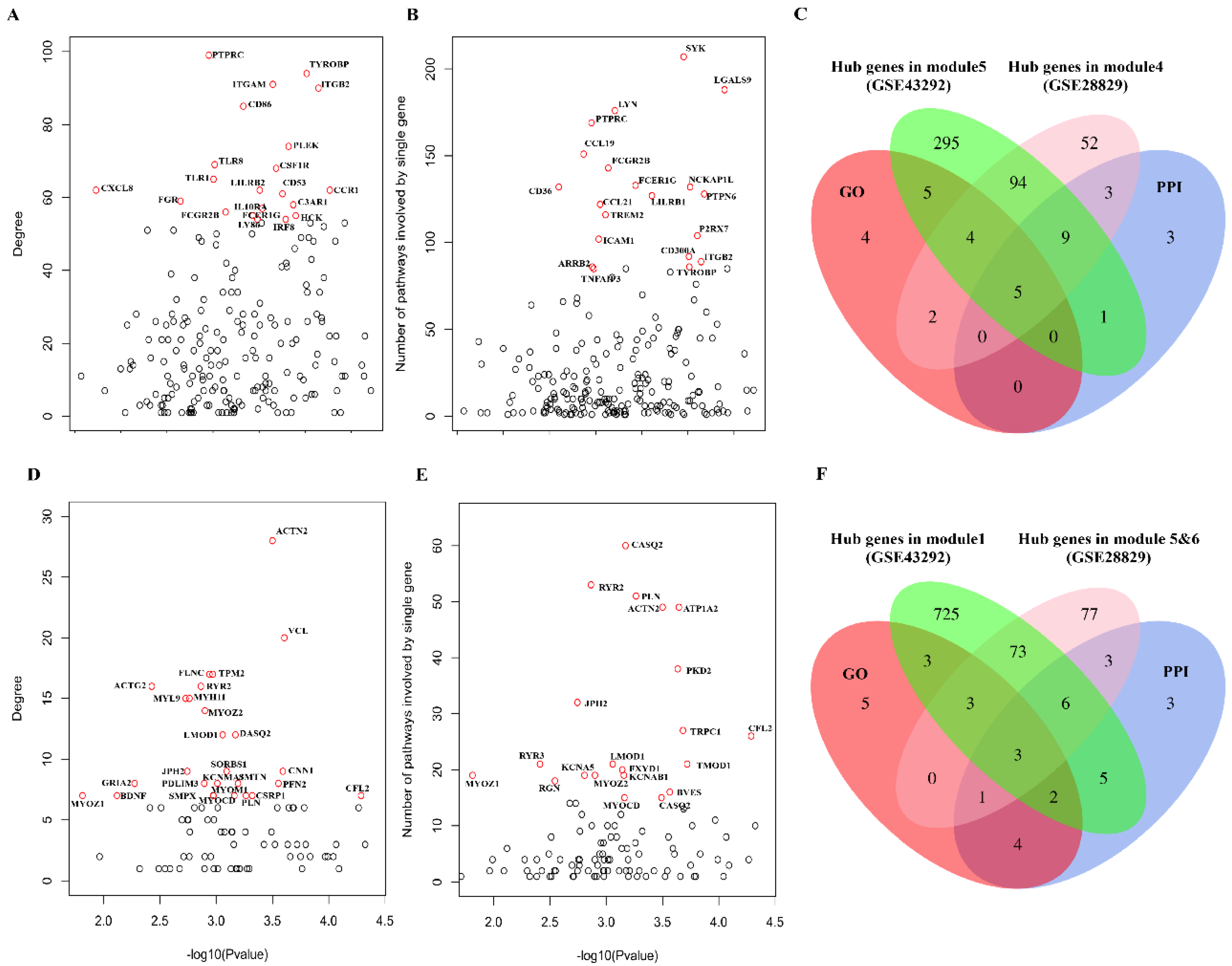 Cells 11 03976 g005 Cells 11 03976 g005
