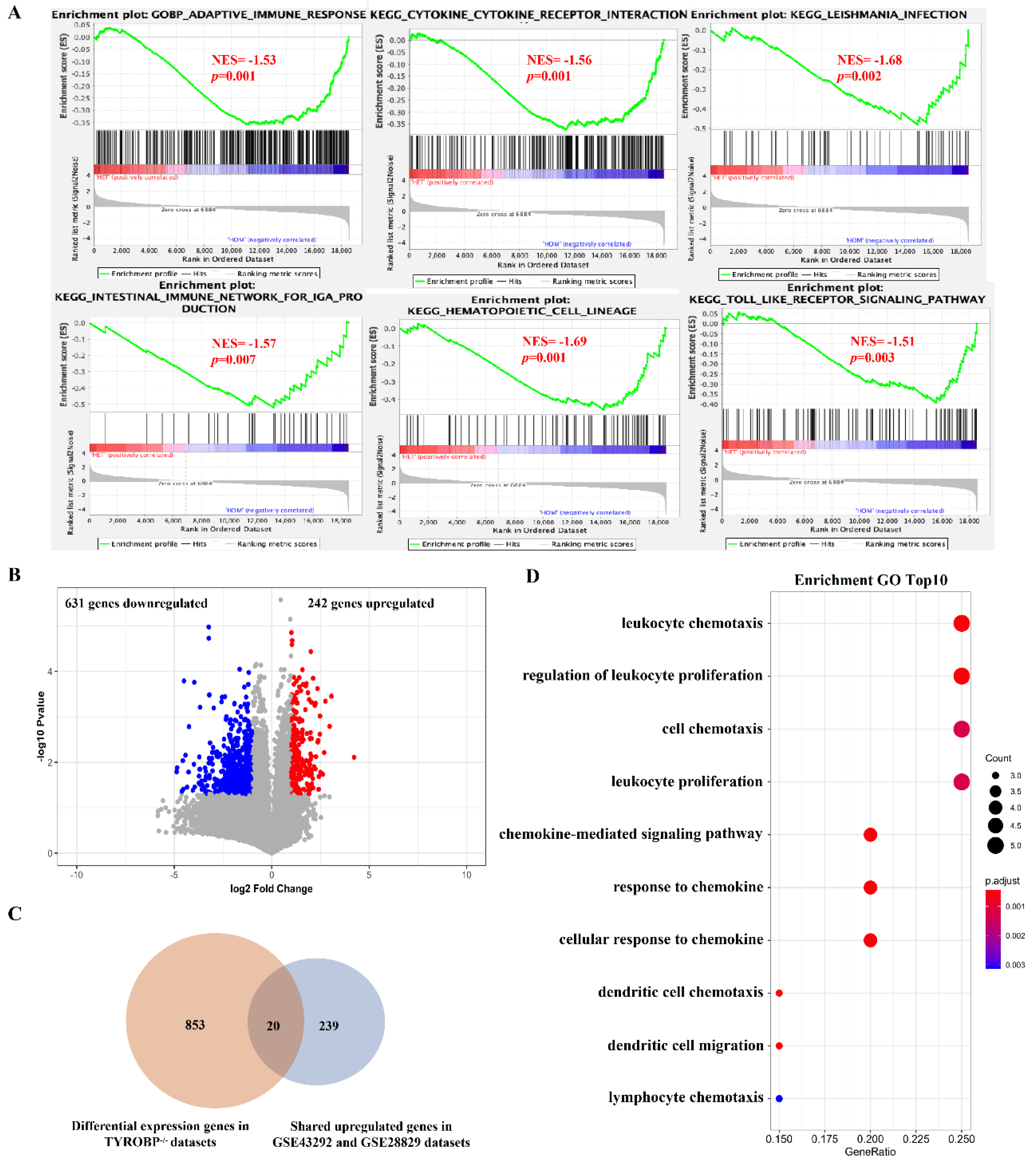 Cells 11 03976 g007 Cells 11 03976 g007