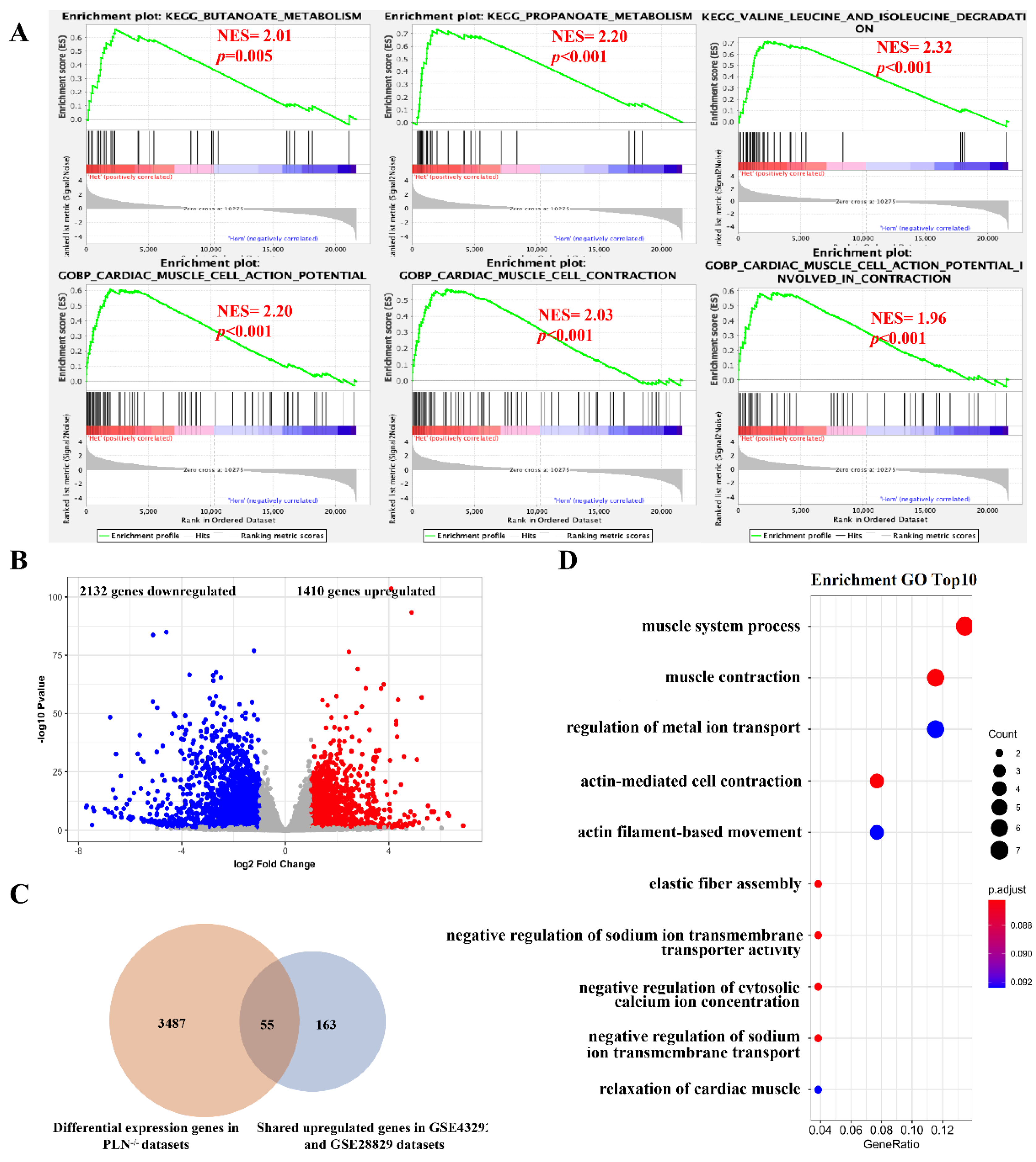 Cells 11 03976 g008 Cells 11 03976 g008
