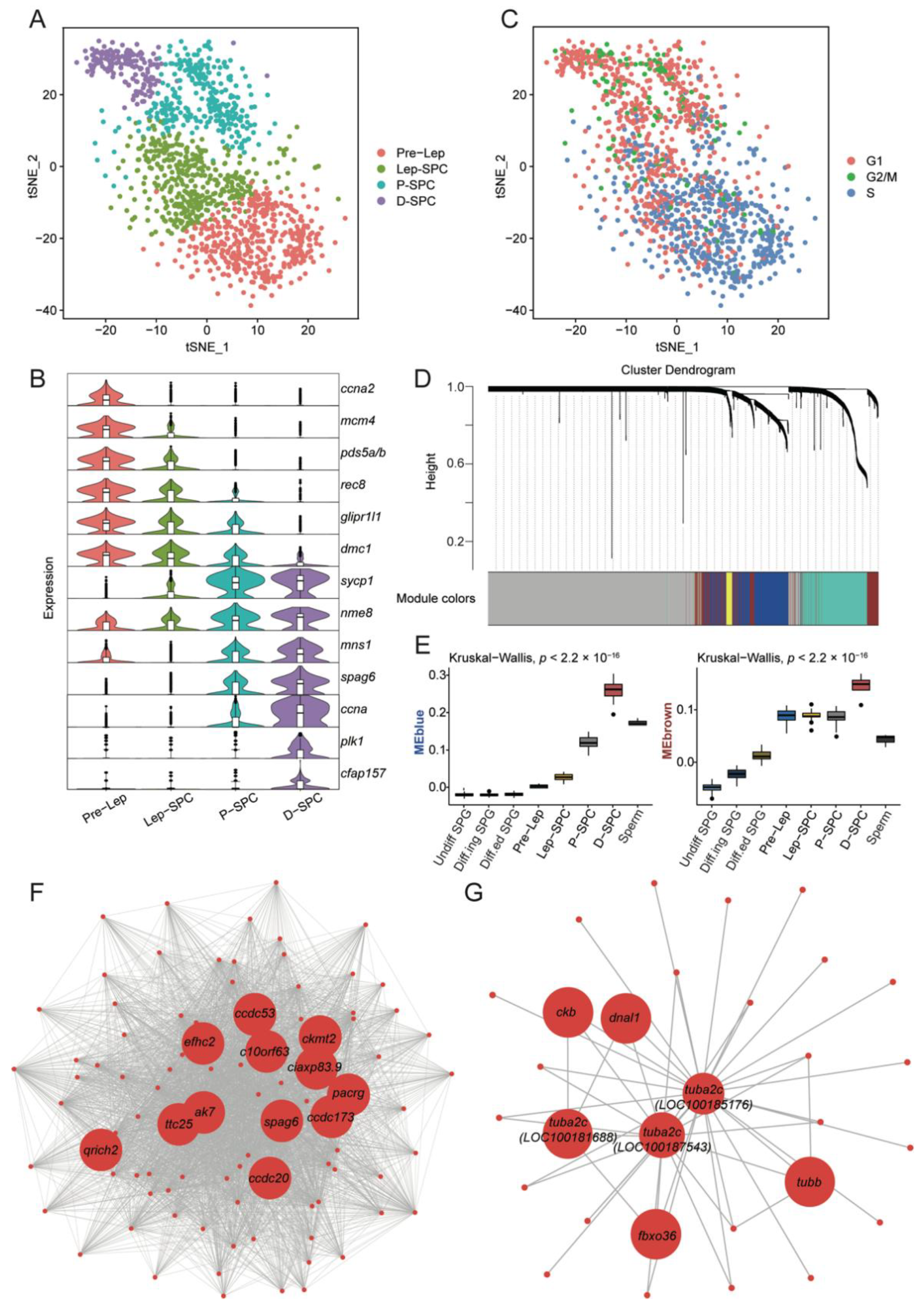 Cells 11 03978 g003 Cells 11 03978 g003